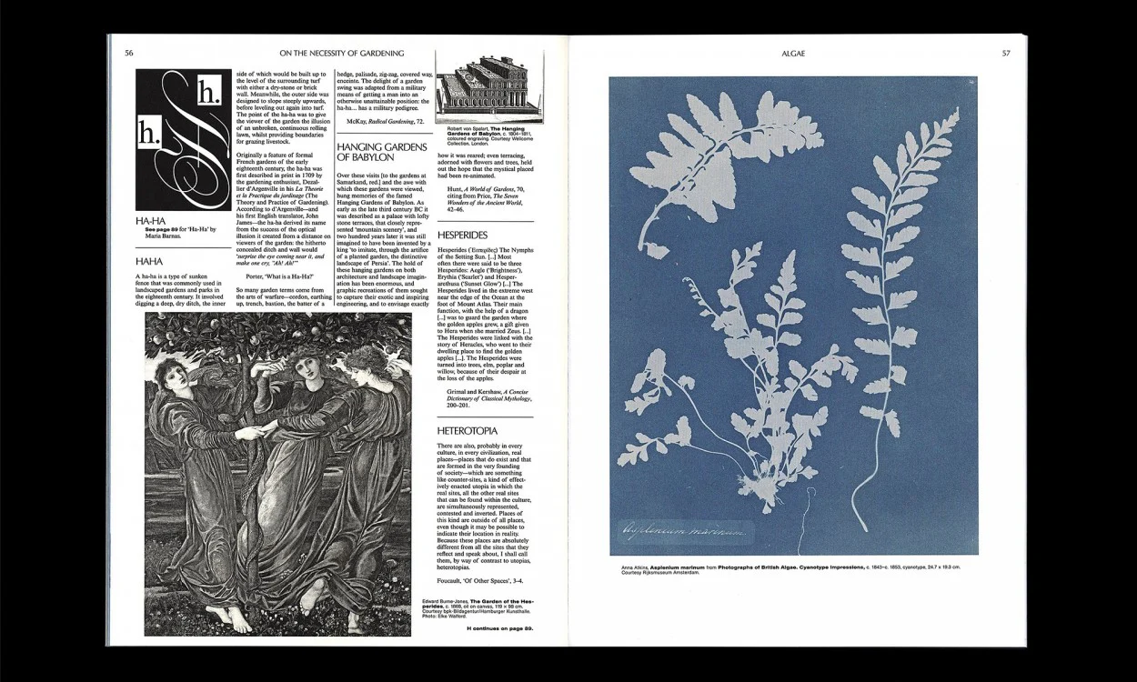 On the Necessity of Gardening - An ABC of Art, Botany and Cultivation - Image 3