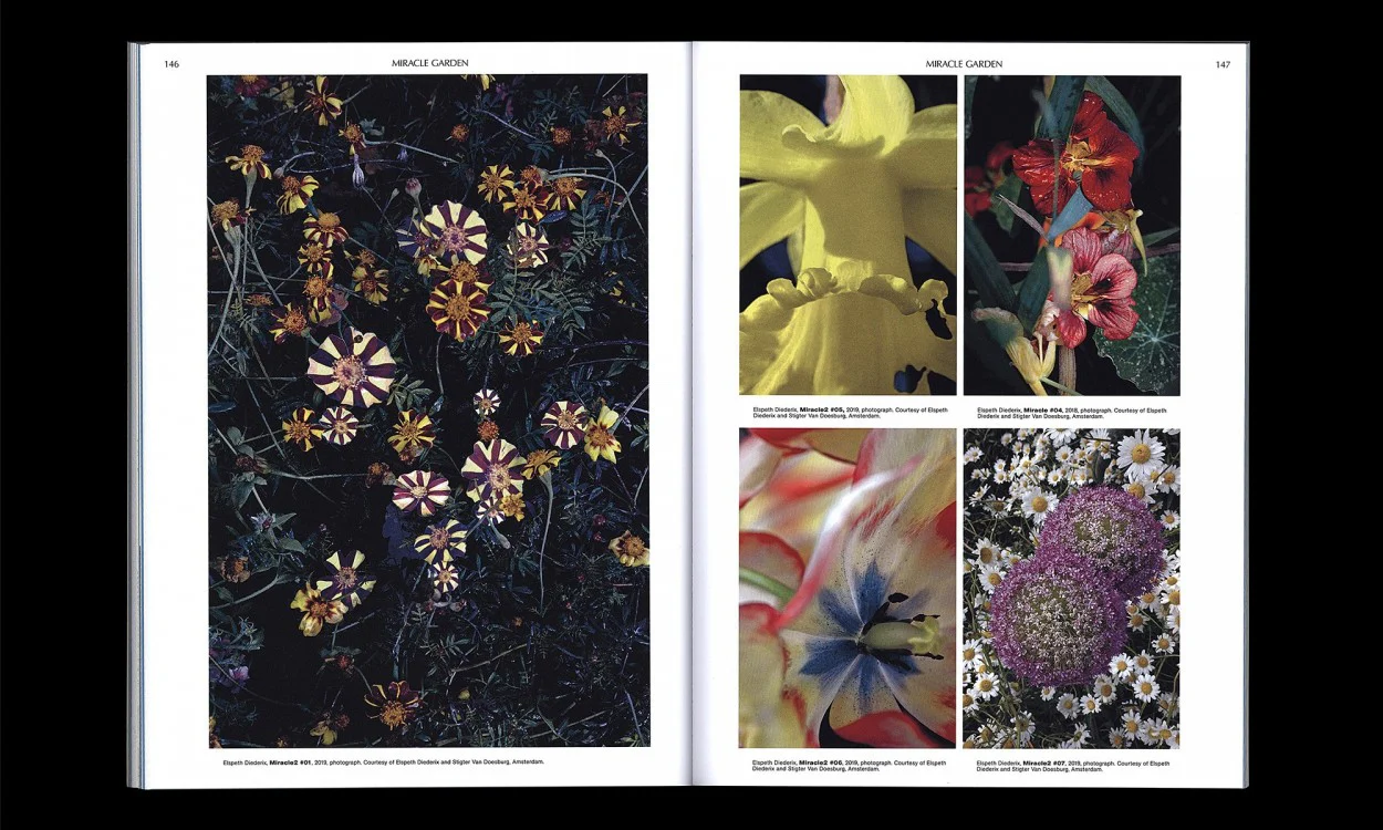On the Necessity of Gardening - An ABC of Art, Botany and Cultivation - Image 5