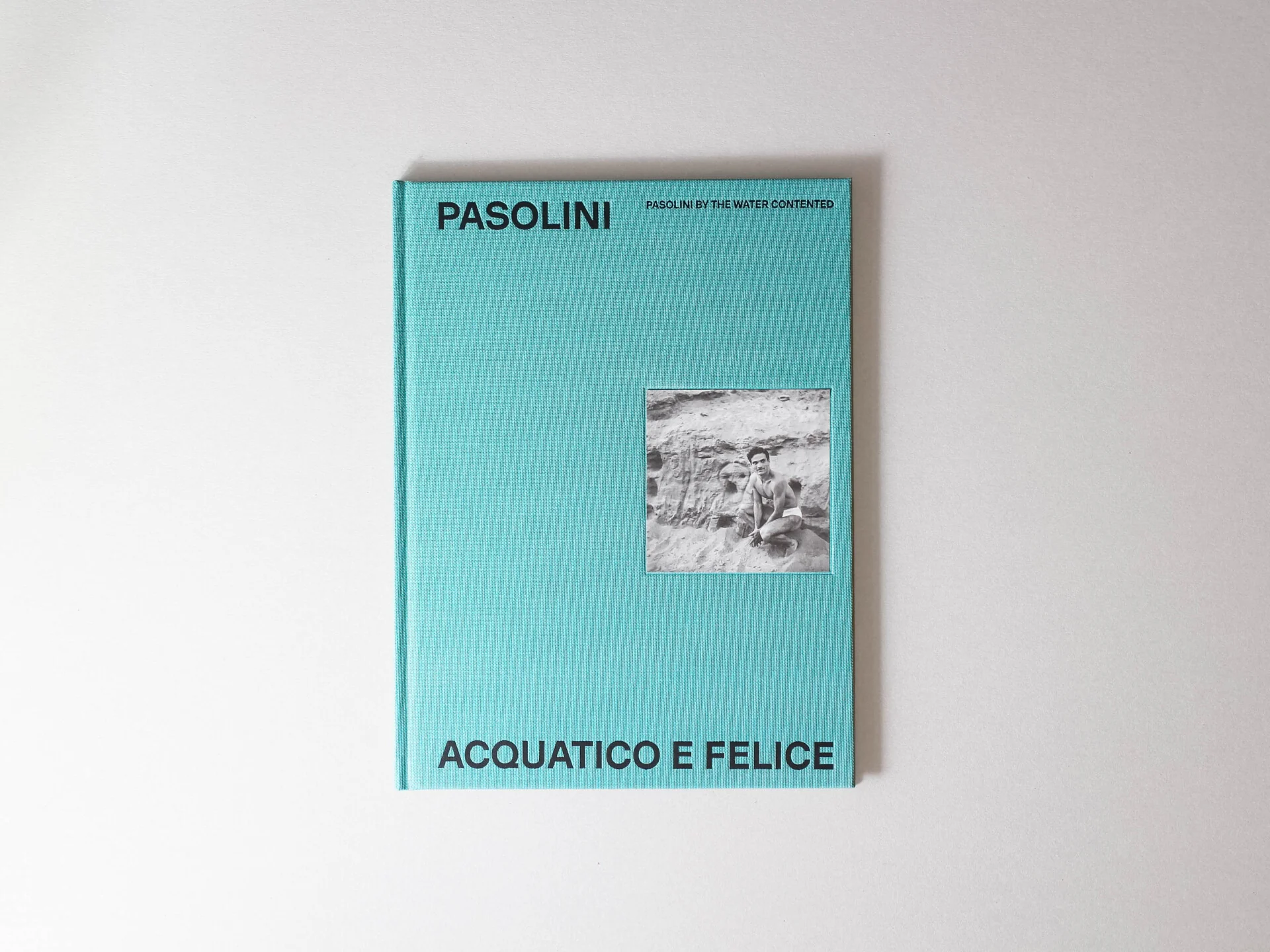 Pasolini acquatico e felice / Pasolini by the water contented - Image 2