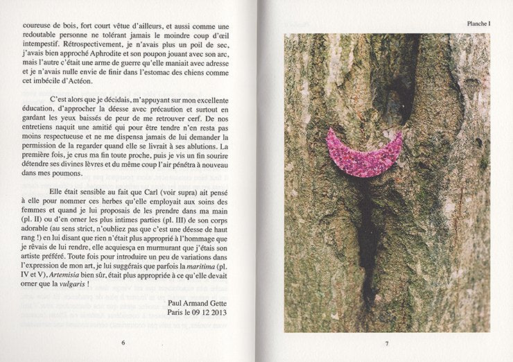 Paul Armand Gette - Divertissements Botaniques - Image 2