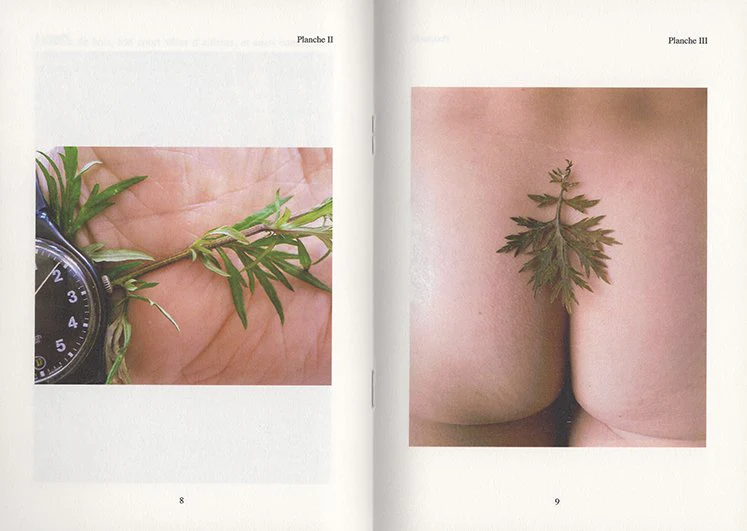 Paul Armand Gette - Divertissements Botaniques - Image 3