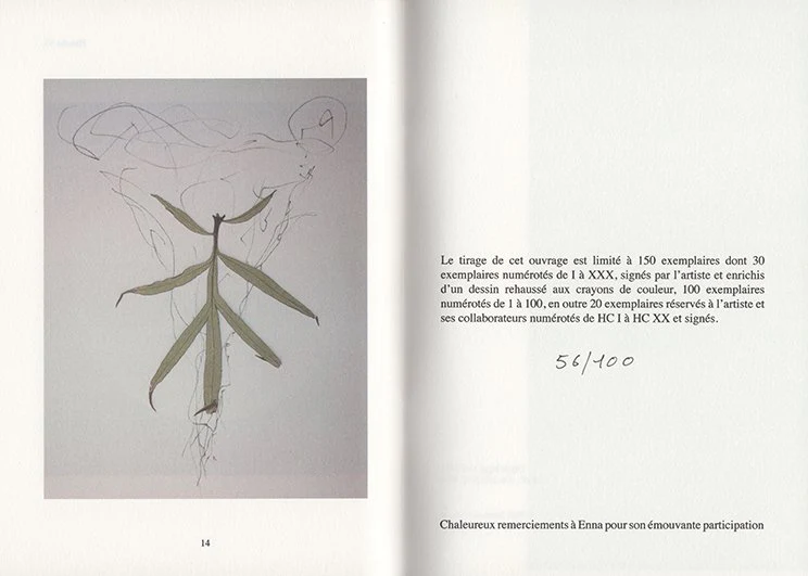 Paul Armand Gette - Divertissements Botaniques - Image 4