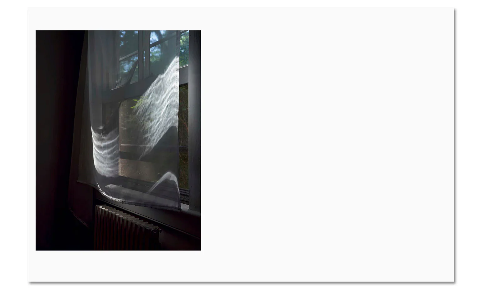 Paul Graham - Verdigris / Ambergris - Image 14