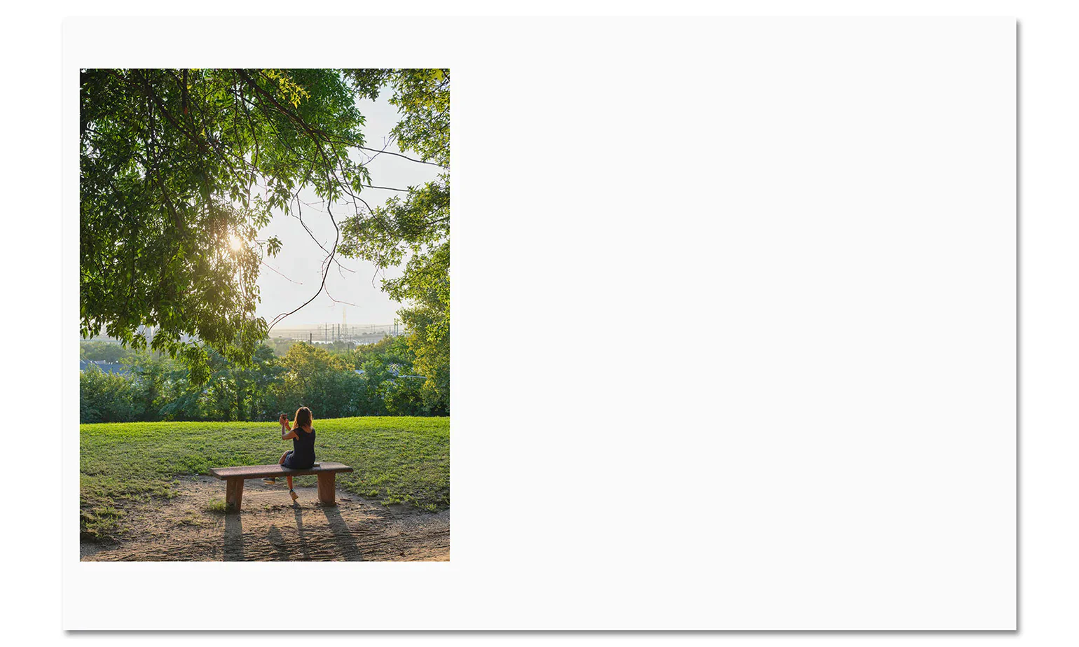 Paul Graham - Verdigris / Ambergris - Image 7