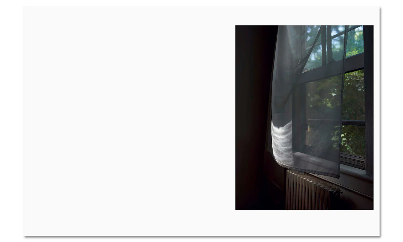 Paul Graham - Verdigris / Ambergris - Image 8