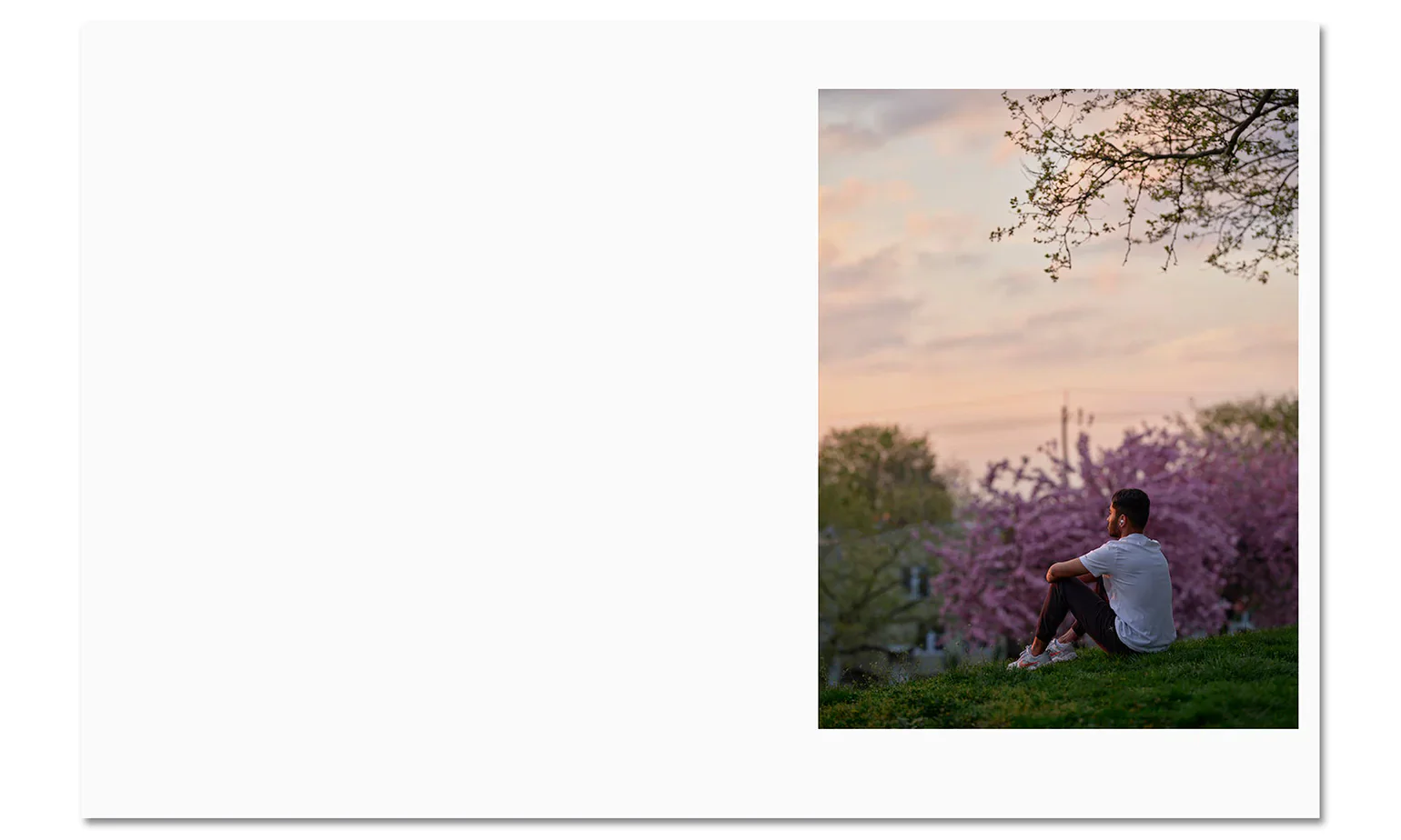 Paul Graham - Verdigris / Ambergris - Image 9