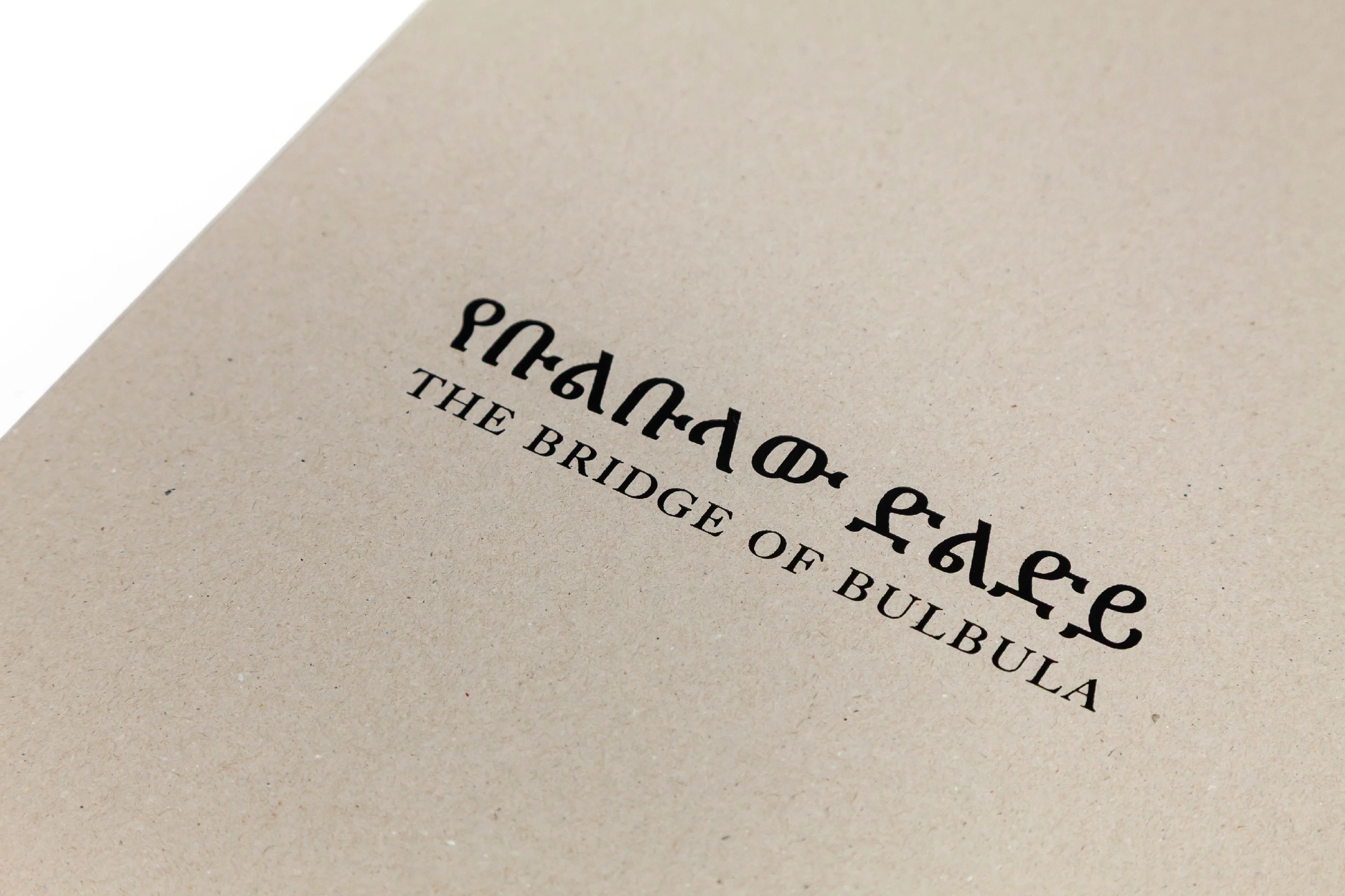 Quentin de Briey & Achraf Issami - The Bridge of Bulbula - Image 18