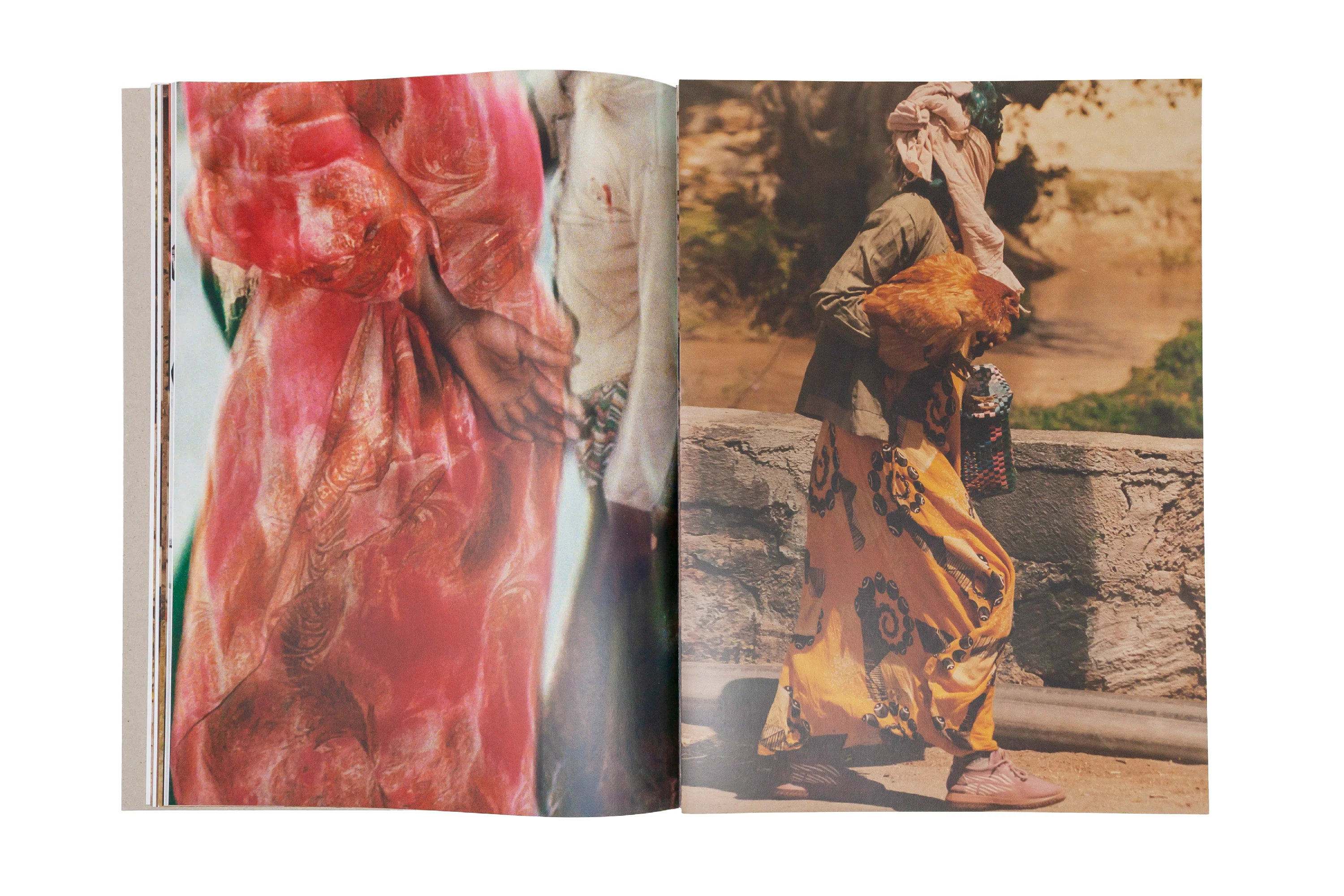 Quentin de Briey & Achraf Issami - The Bridge of Bulbula - Image 8