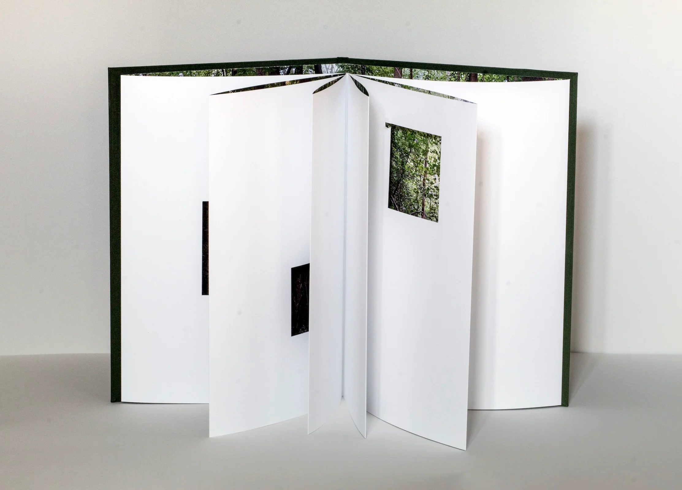 Quentin Lefranc - Panorama - Image 3