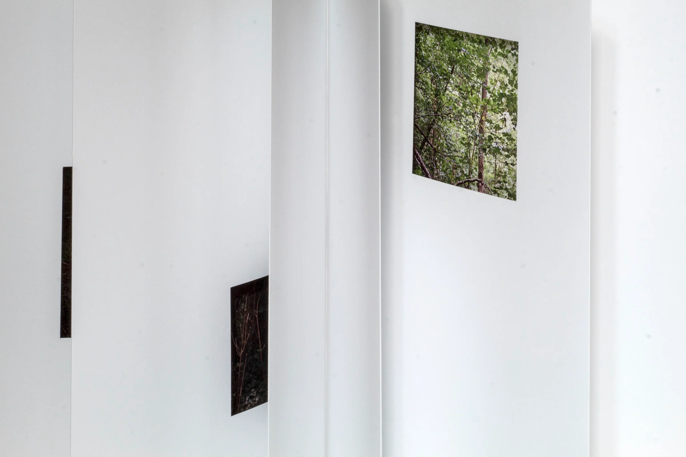 Quentin Lefranc - Panorama - Image 6
