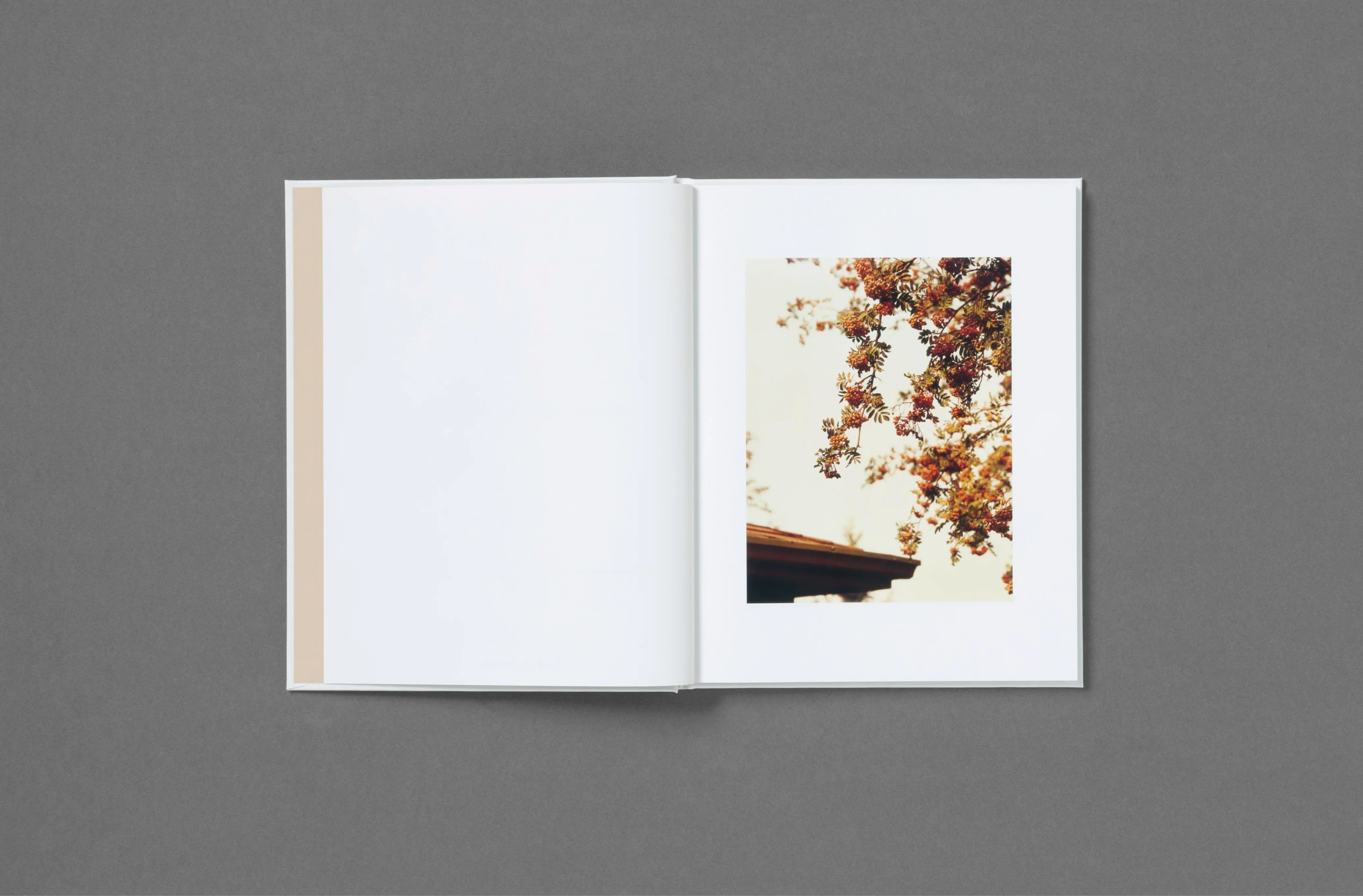 Roe Ethridge - In the Beginning - Image 11