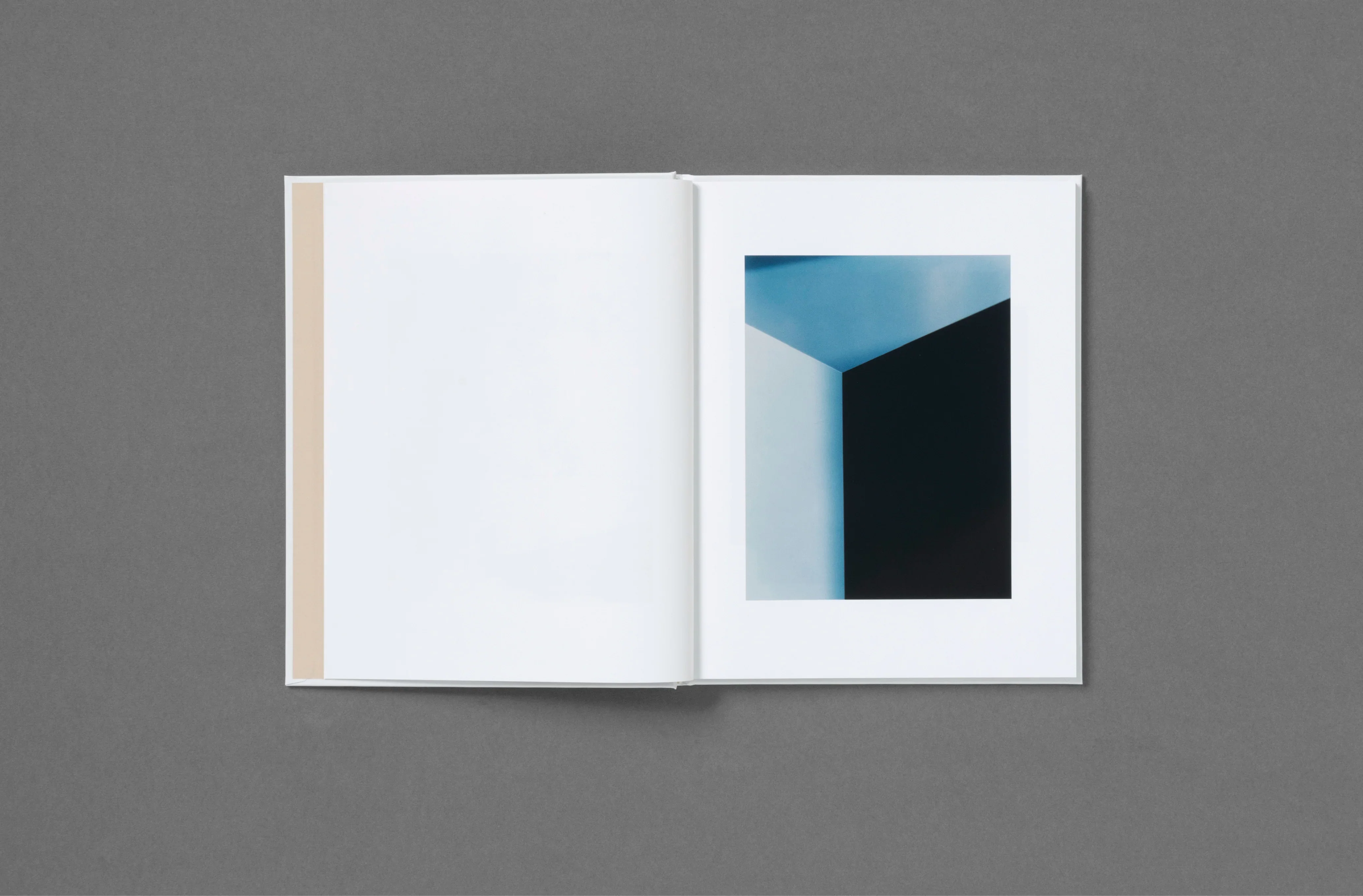 Roe Ethridge - In the Beginning - Image 12