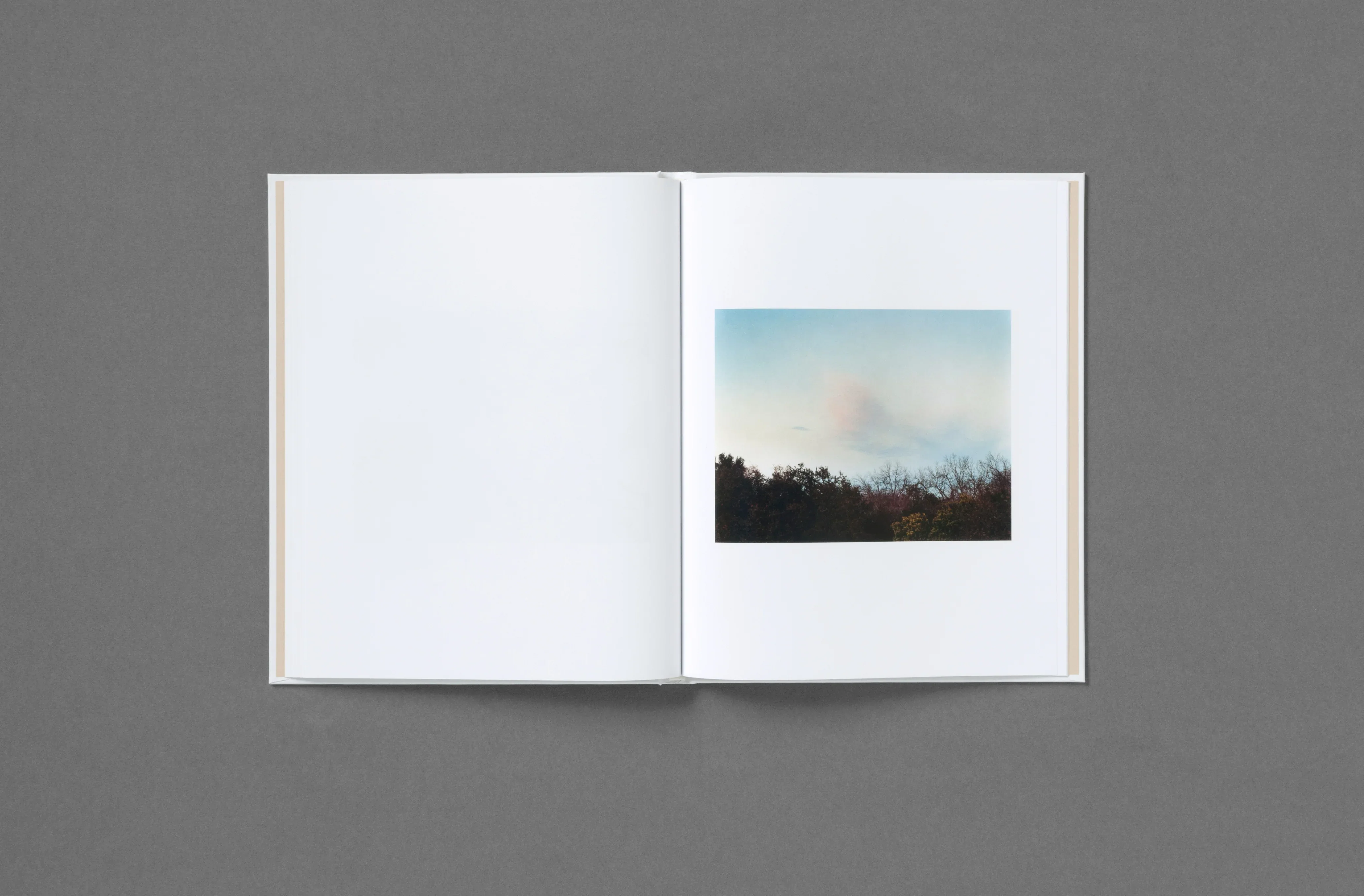 Roe Ethridge - In the Beginning - Image 20