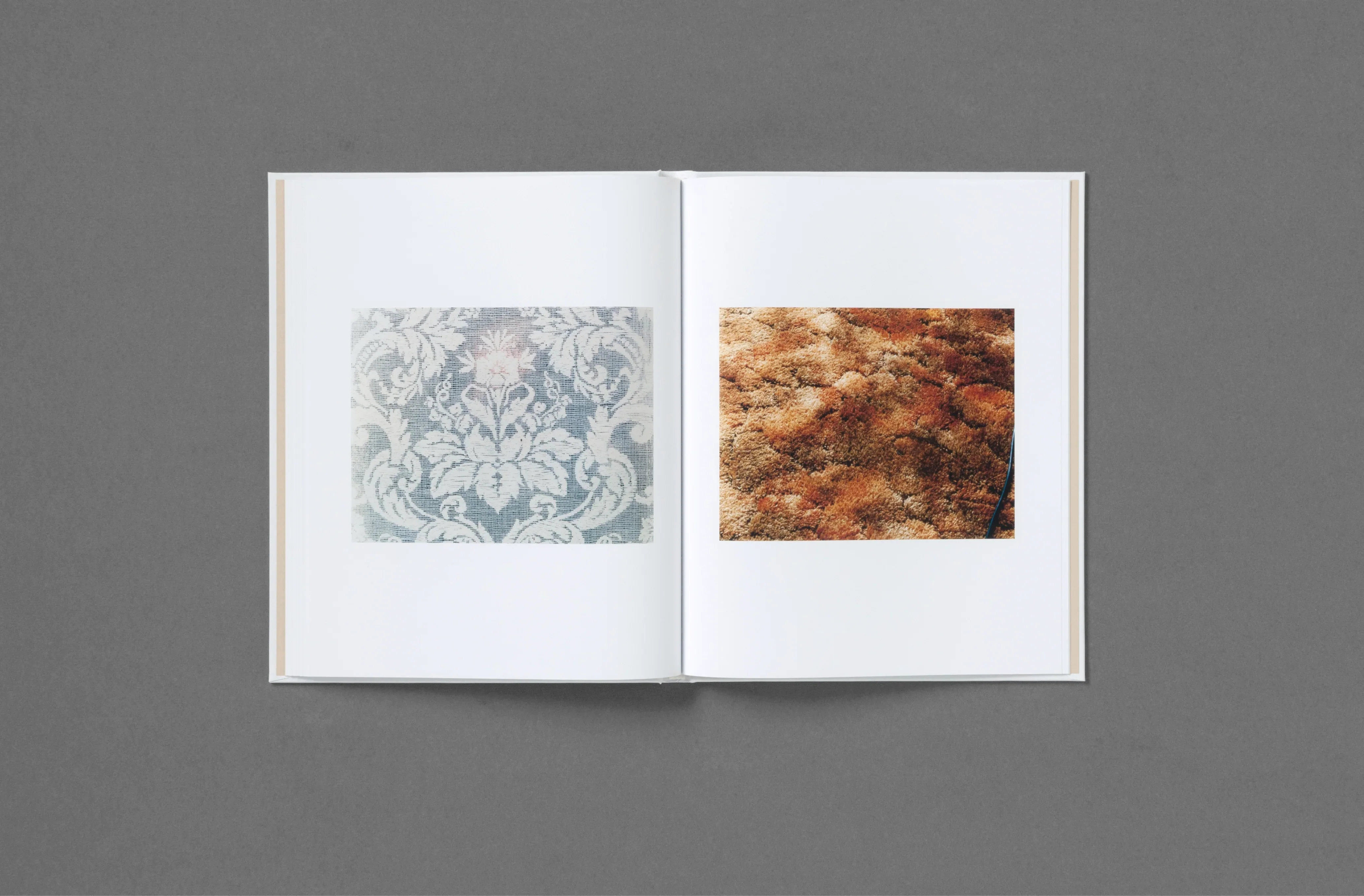 Roe Ethridge - In the Beginning - Image 21