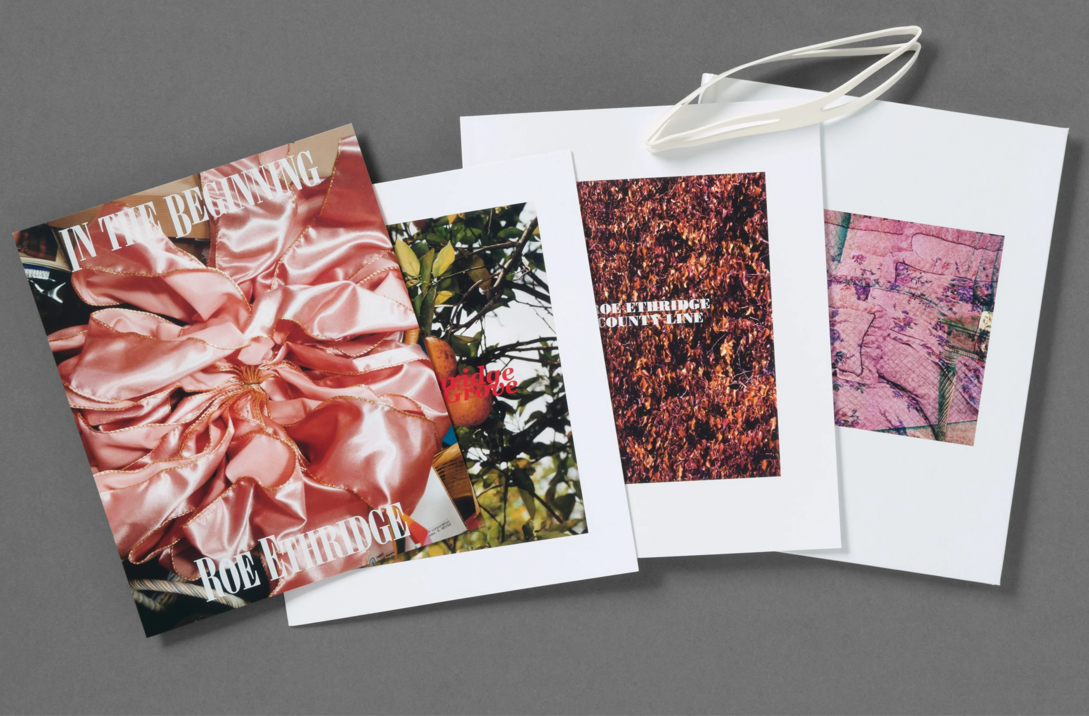 Roe Ethridge - In the Beginning - Image 3