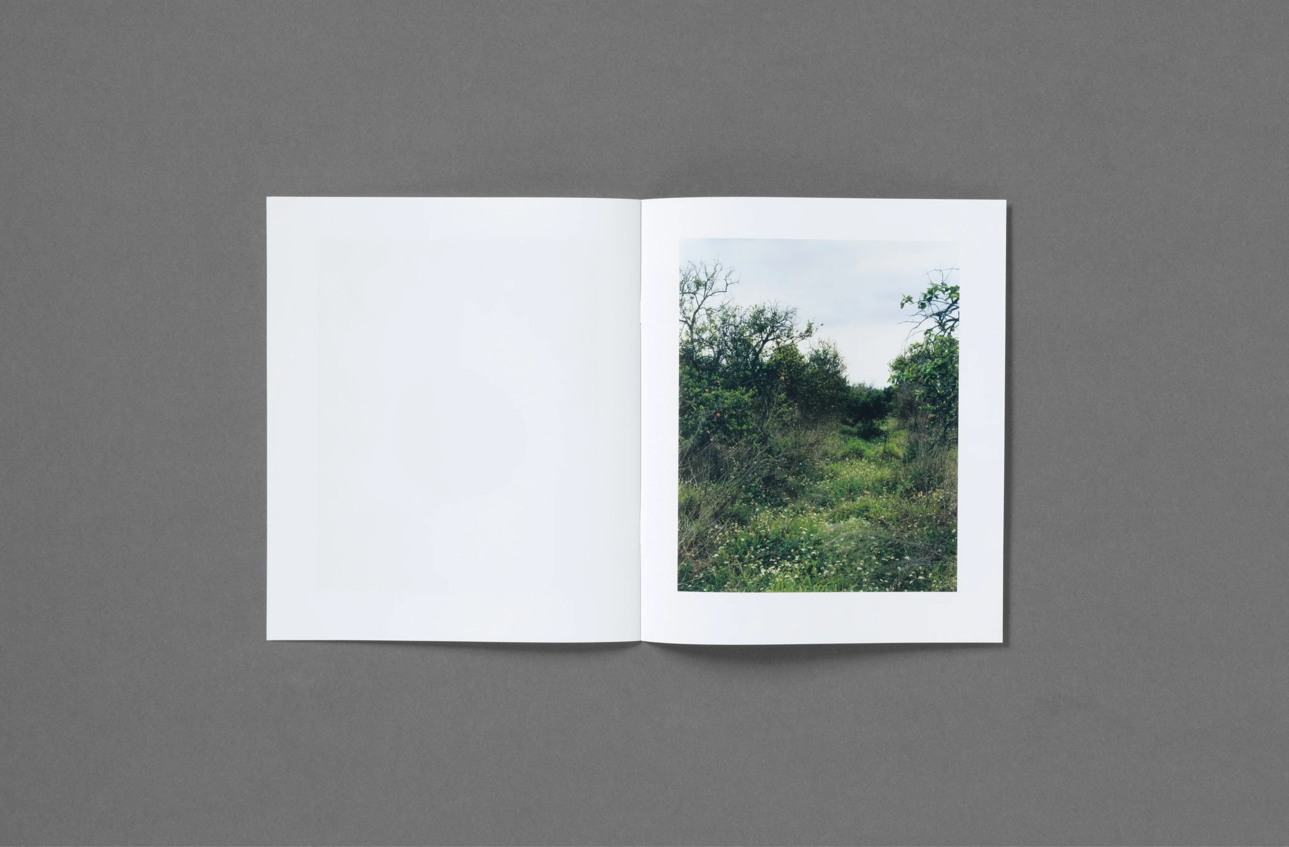 Roe Ethridge - In the Beginning - Image 8