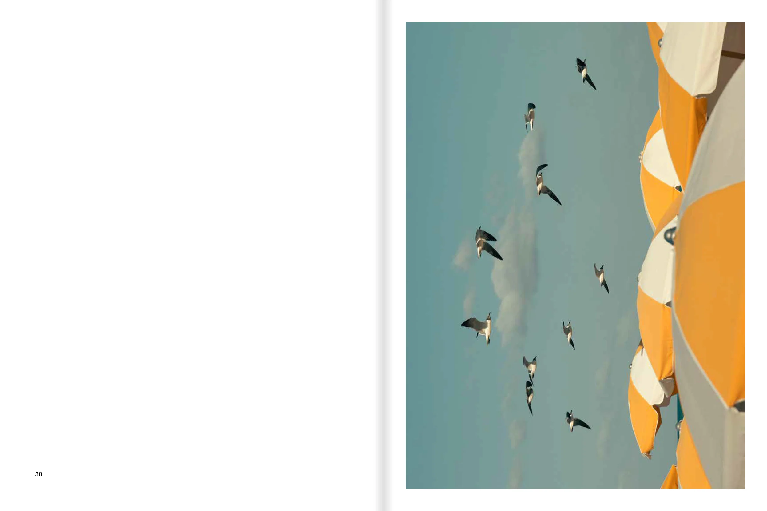 Romain Laprade - Distances Vol.II - Image 7