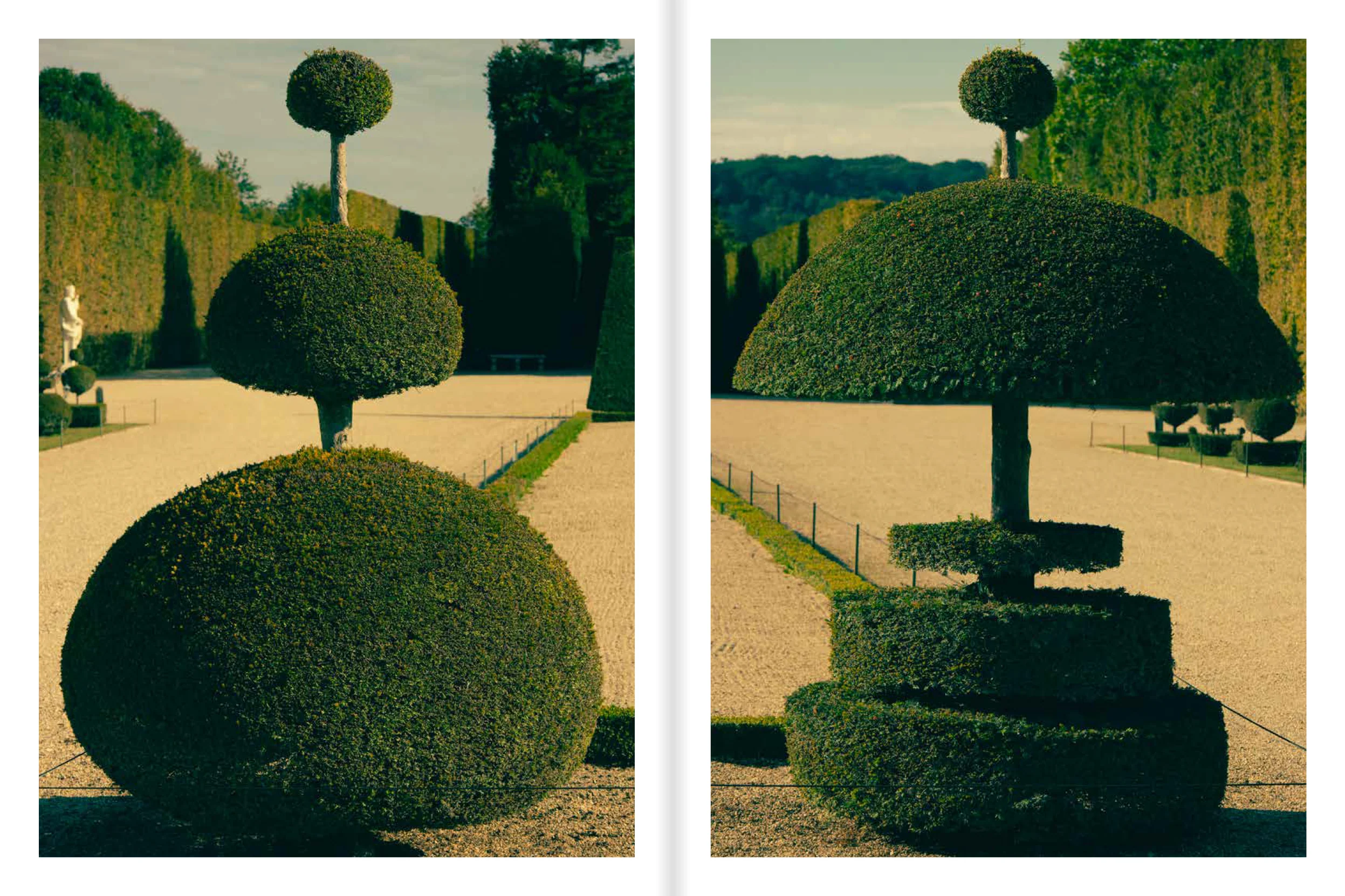 Romain Laprade - Distances Vol.II - Image 9