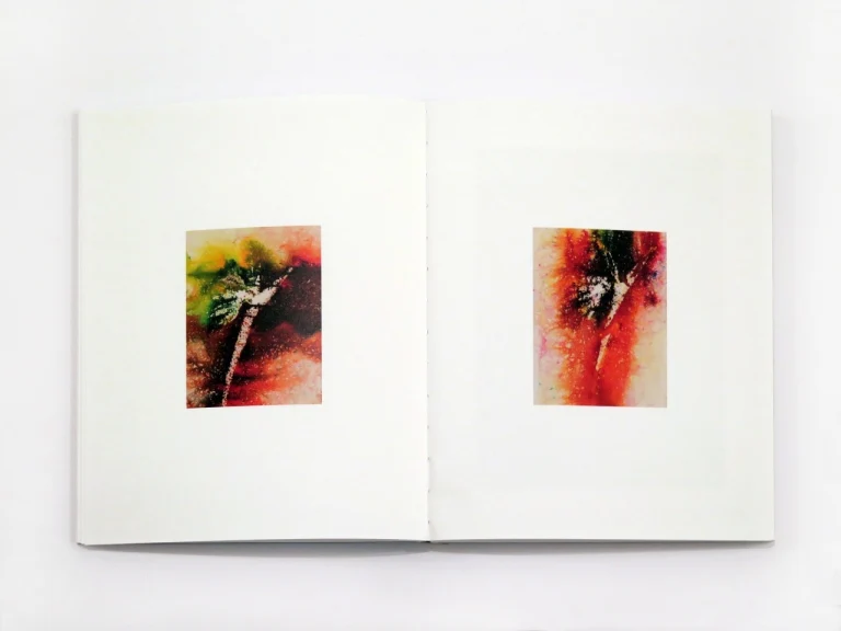 Sam Falls - Plein Air (Special Edition) - Image 3