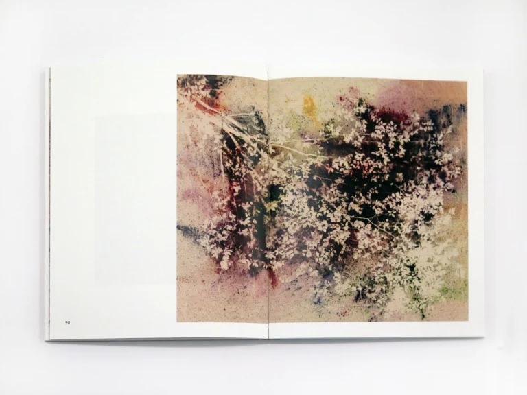 Sam Falls - Plein Air (Special Edition) - Image 7