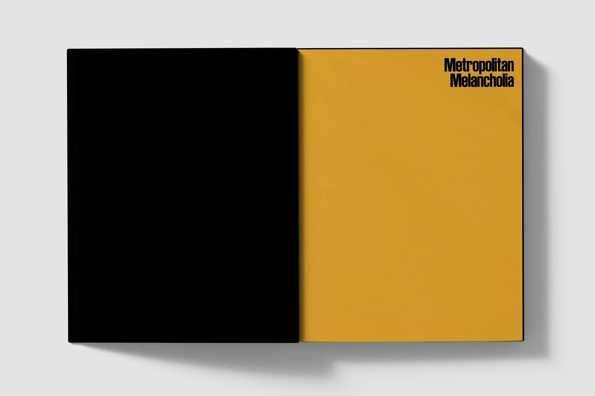 Sarah van Rij & David van der Leeuw - Metropolitan Melancholia - Image 5