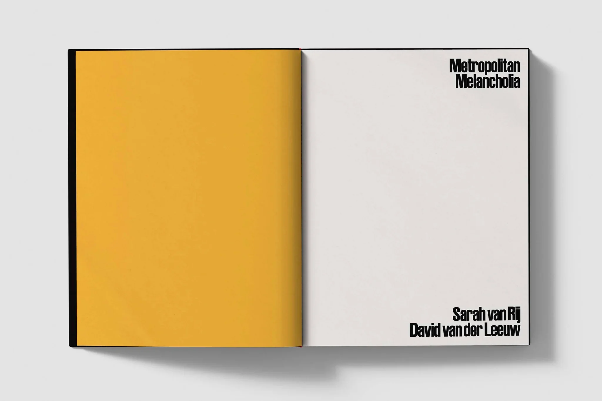 Sarah van Rij & David van der Leeuw - Metropolitan Melancholia - Image 7