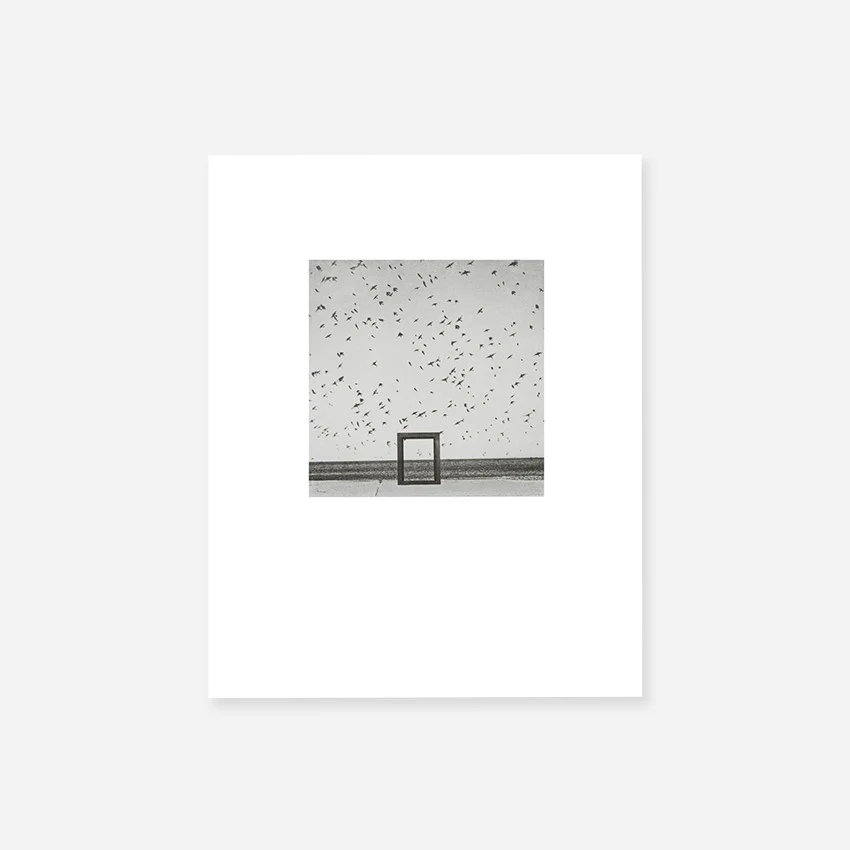 Shoji Ueda - Gone Are the Days (Mini Portfolio) - Image 8