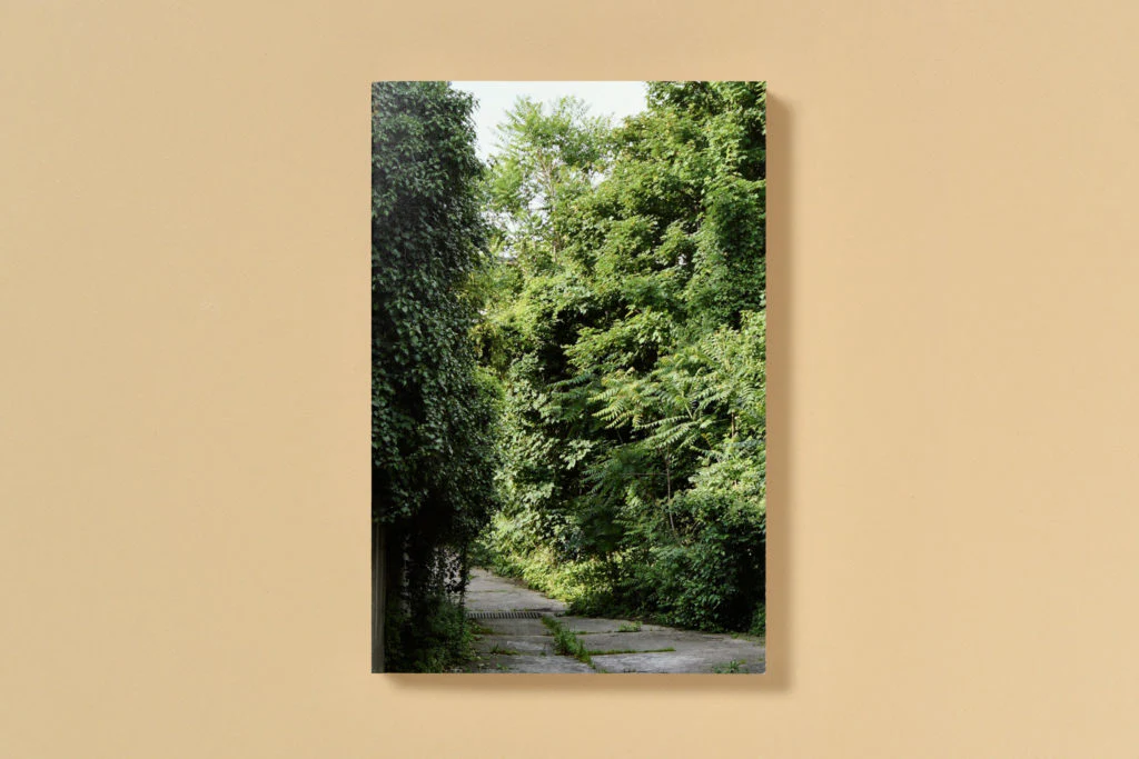 Simon Boudvin - Ailanthus Altissima, Une monographie située de l'ailante - Image 4