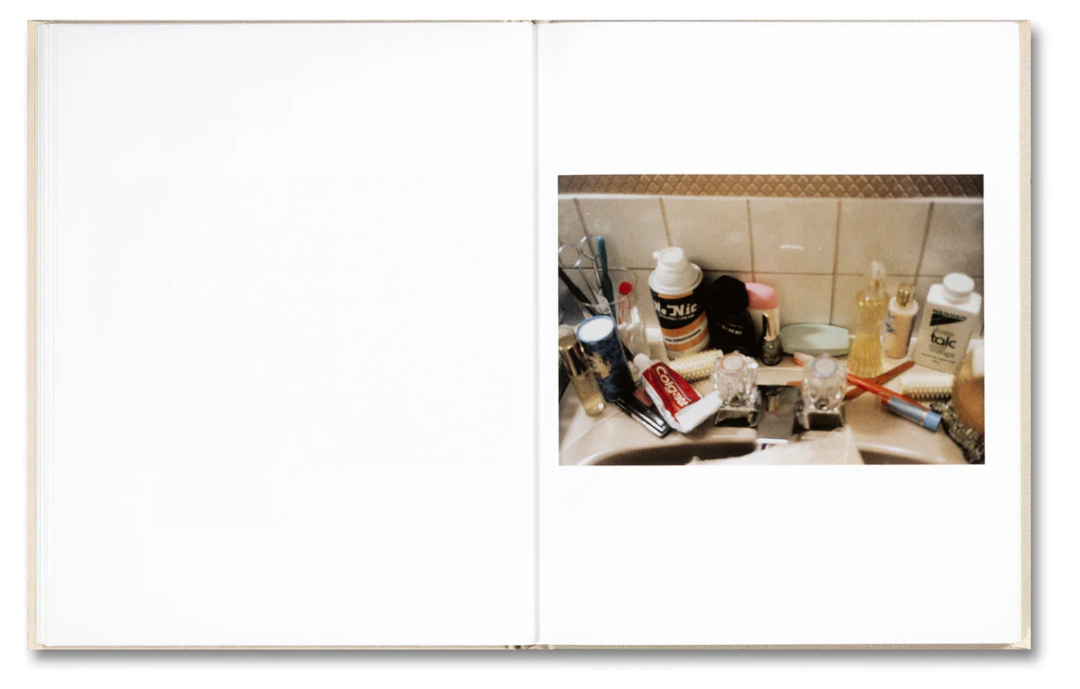 Sofia Coppola (ed.) & Corinne Day - The Virgin Suicides, Important Flowers - Image 10