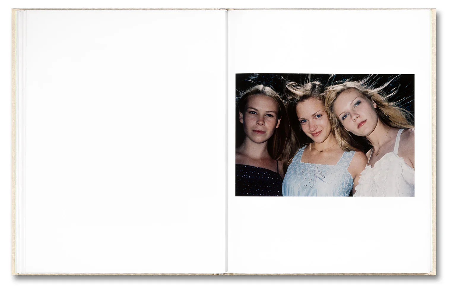 Sofia Coppola (ed.) & Corinne Day - The Virgin Suicides, Important Flowers - Image 14