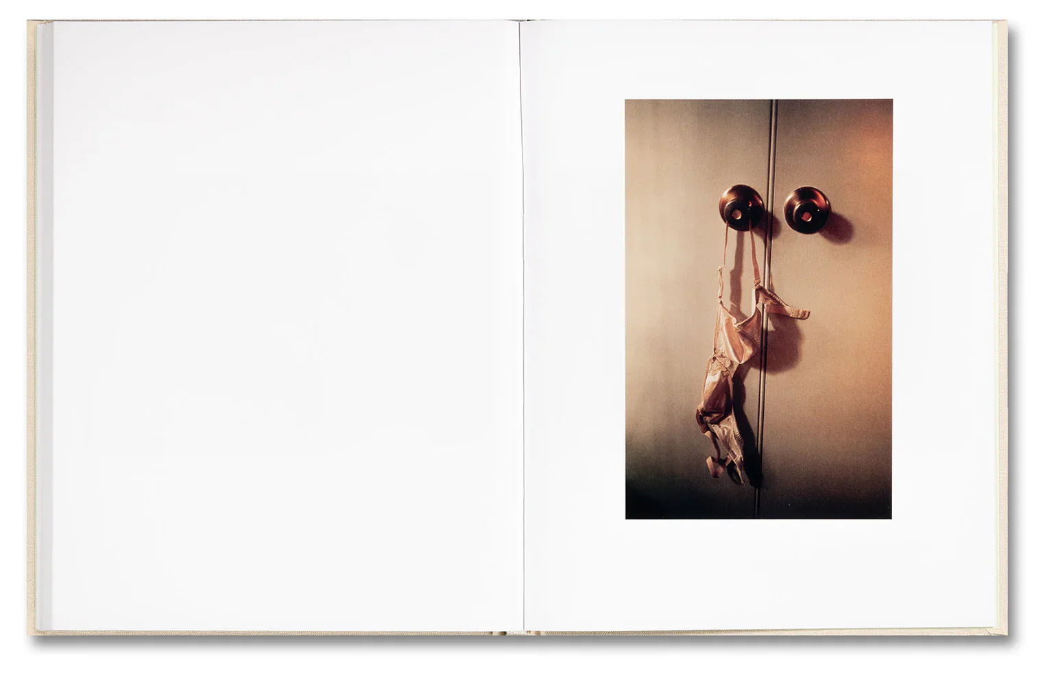 Sofia Coppola (ed.) & Corinne Day - The Virgin Suicides, Important Flowers - Image 24