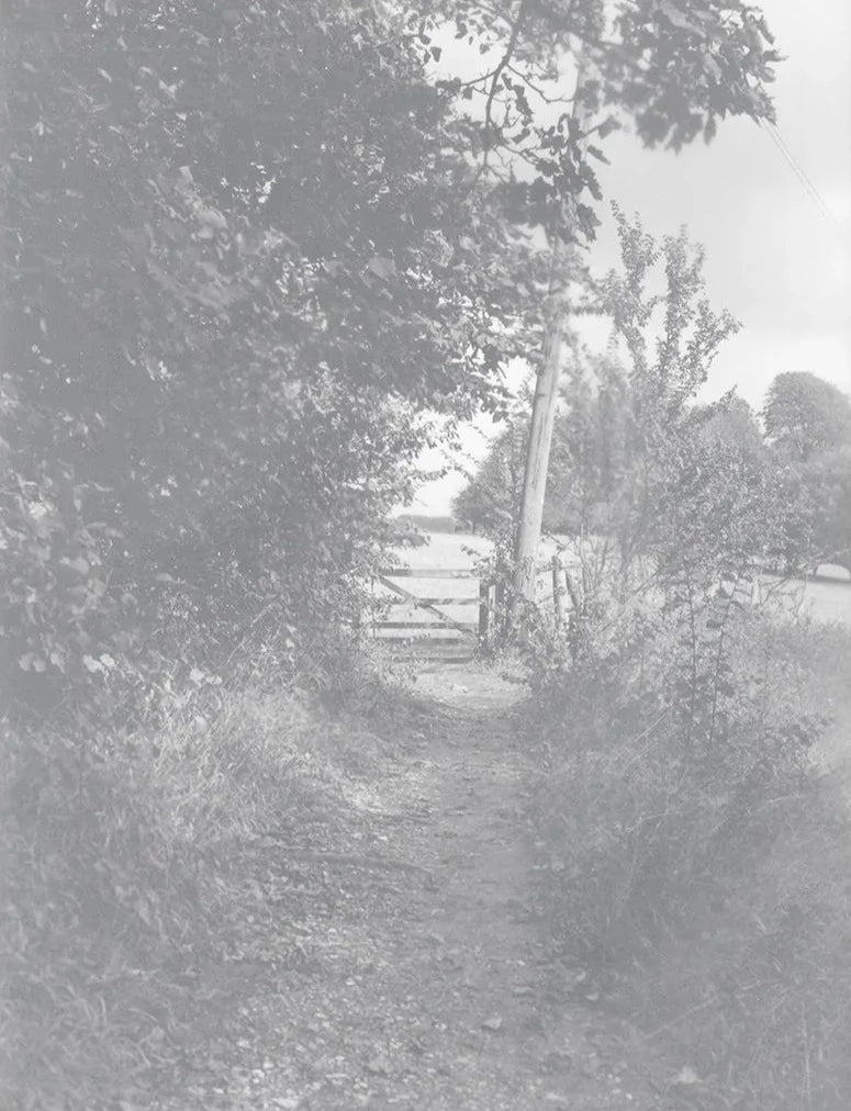 Soft Copy 004