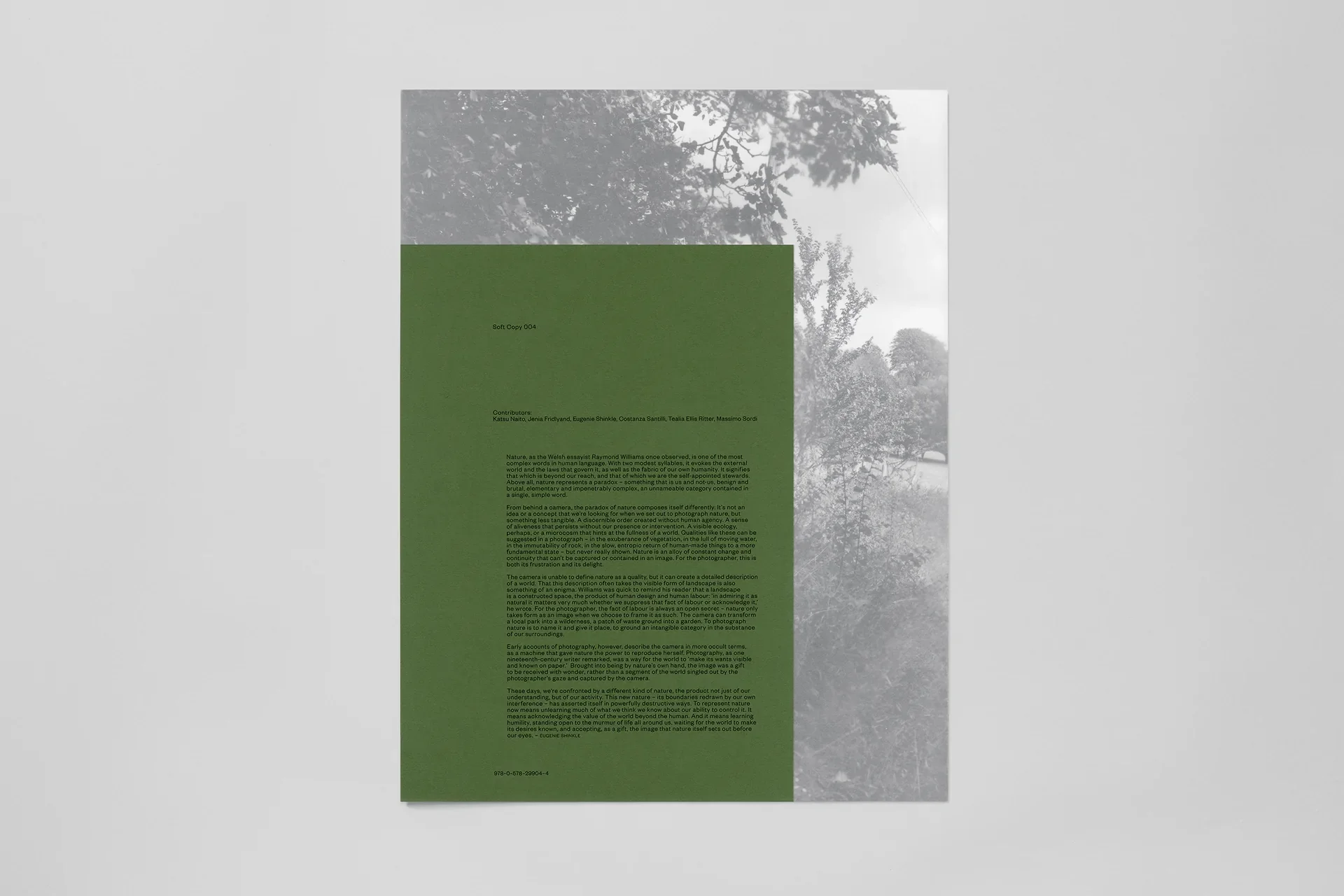 Soft Copy 004 - Image 3