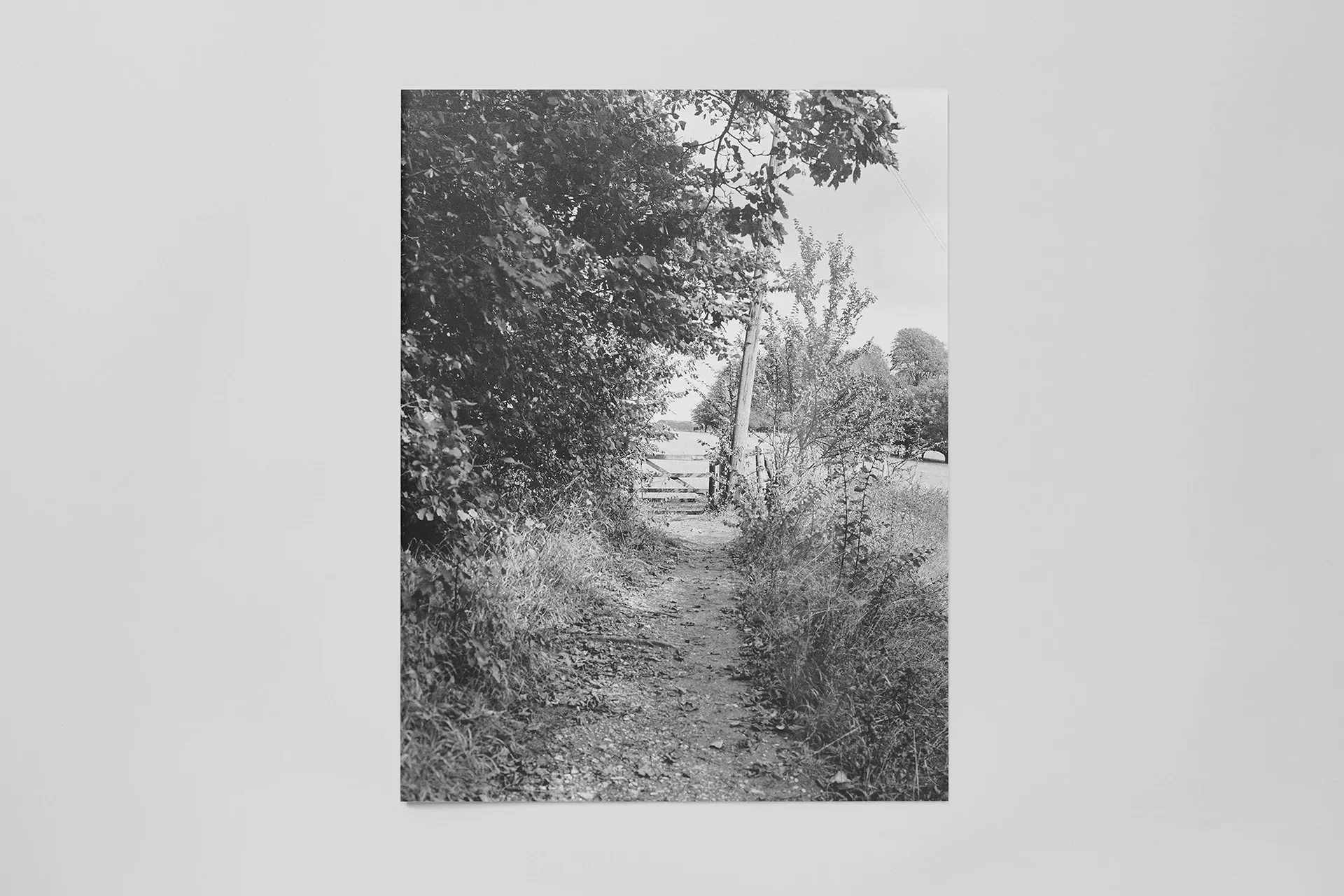 Soft Copy 004 - Image 4