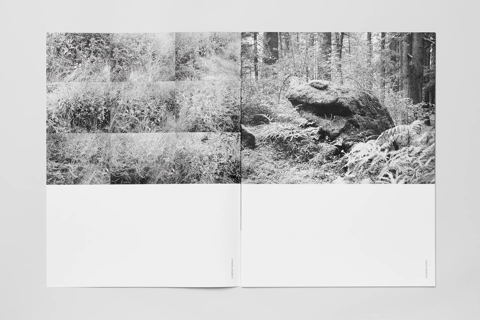 Soft Copy 004 - Image 5