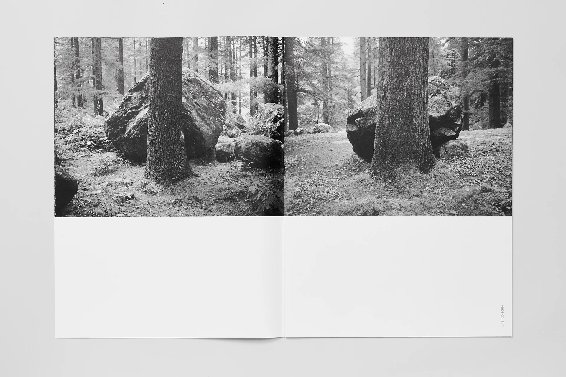 Soft Copy 004 - Image 6