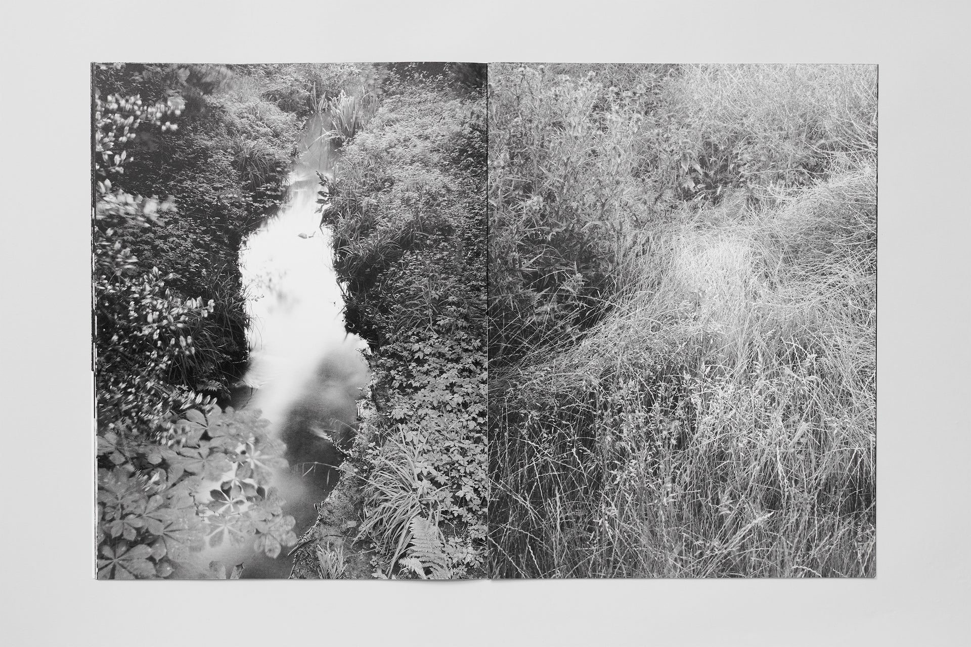 Soft Copy 004 - Image 7