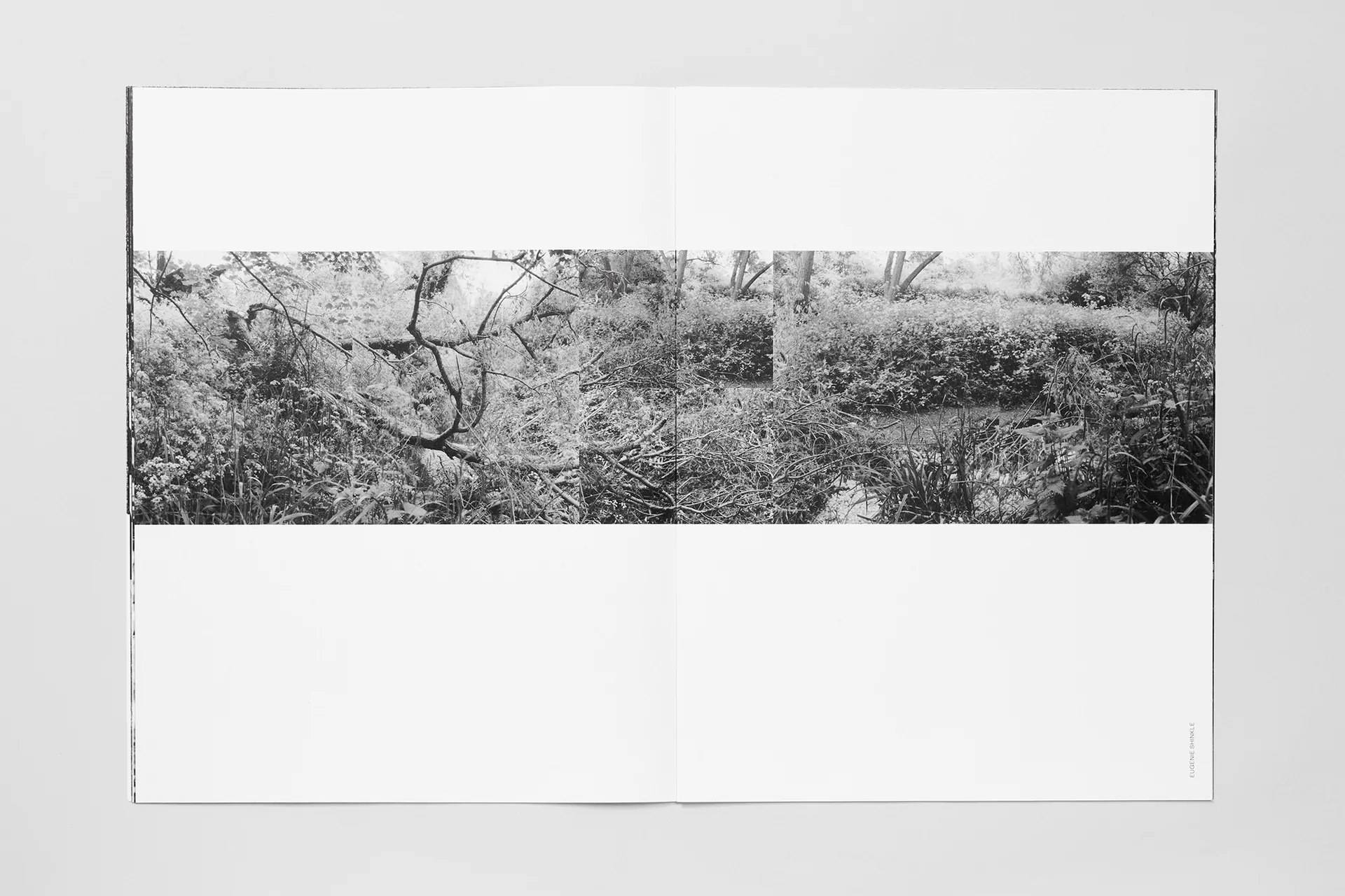 Soft Copy 004 - Image 8