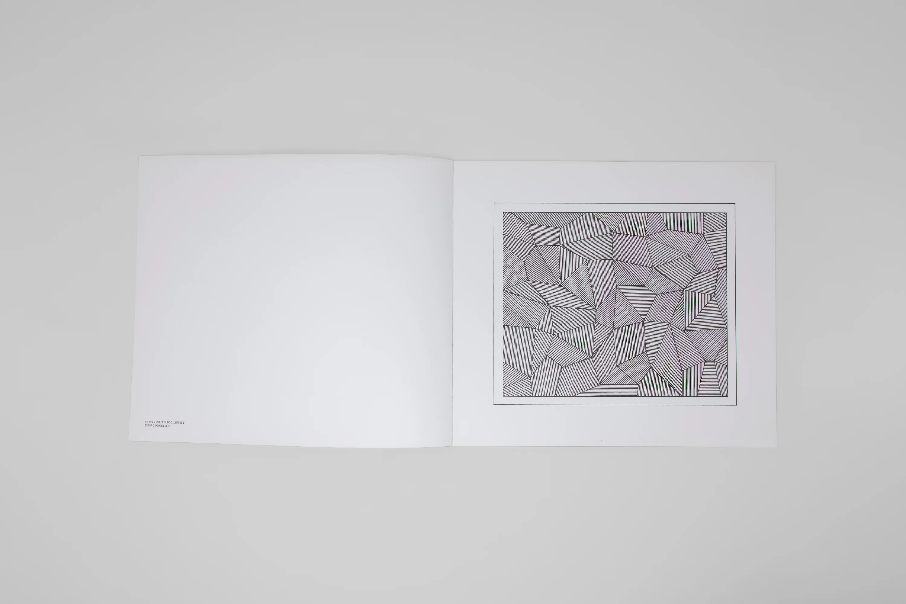 Sol LeWitt - Lines and Formes - Image 3