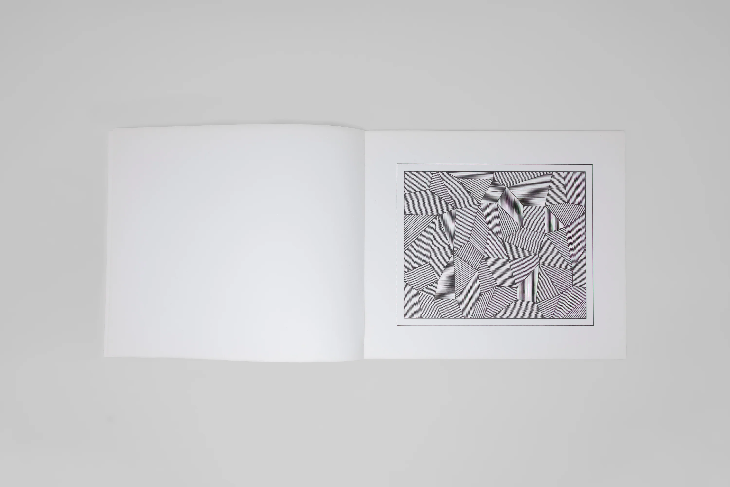Sol LeWitt - Lines and Formes - Image 4