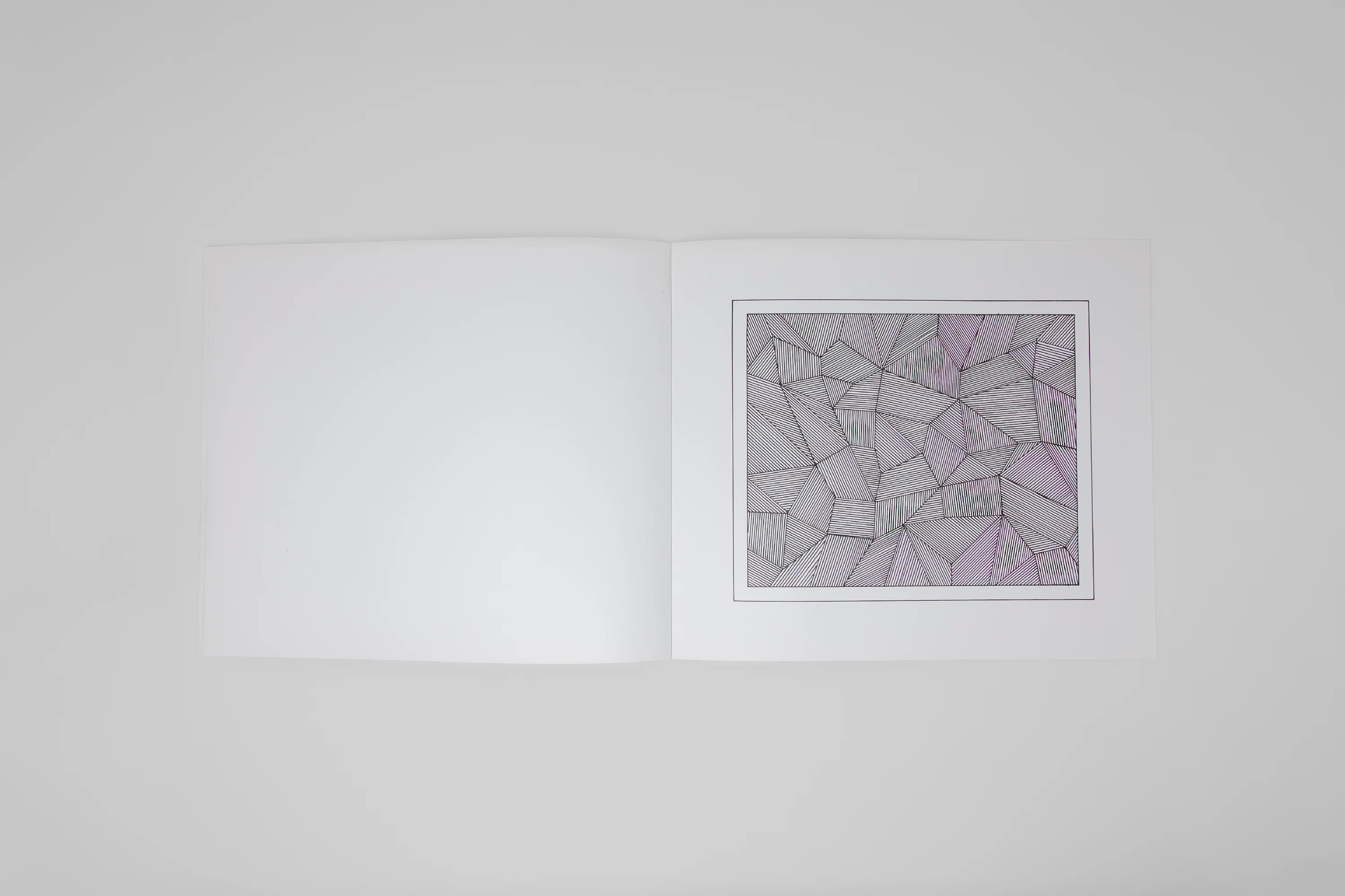 Sol LeWitt - Lines and Formes - Image 5