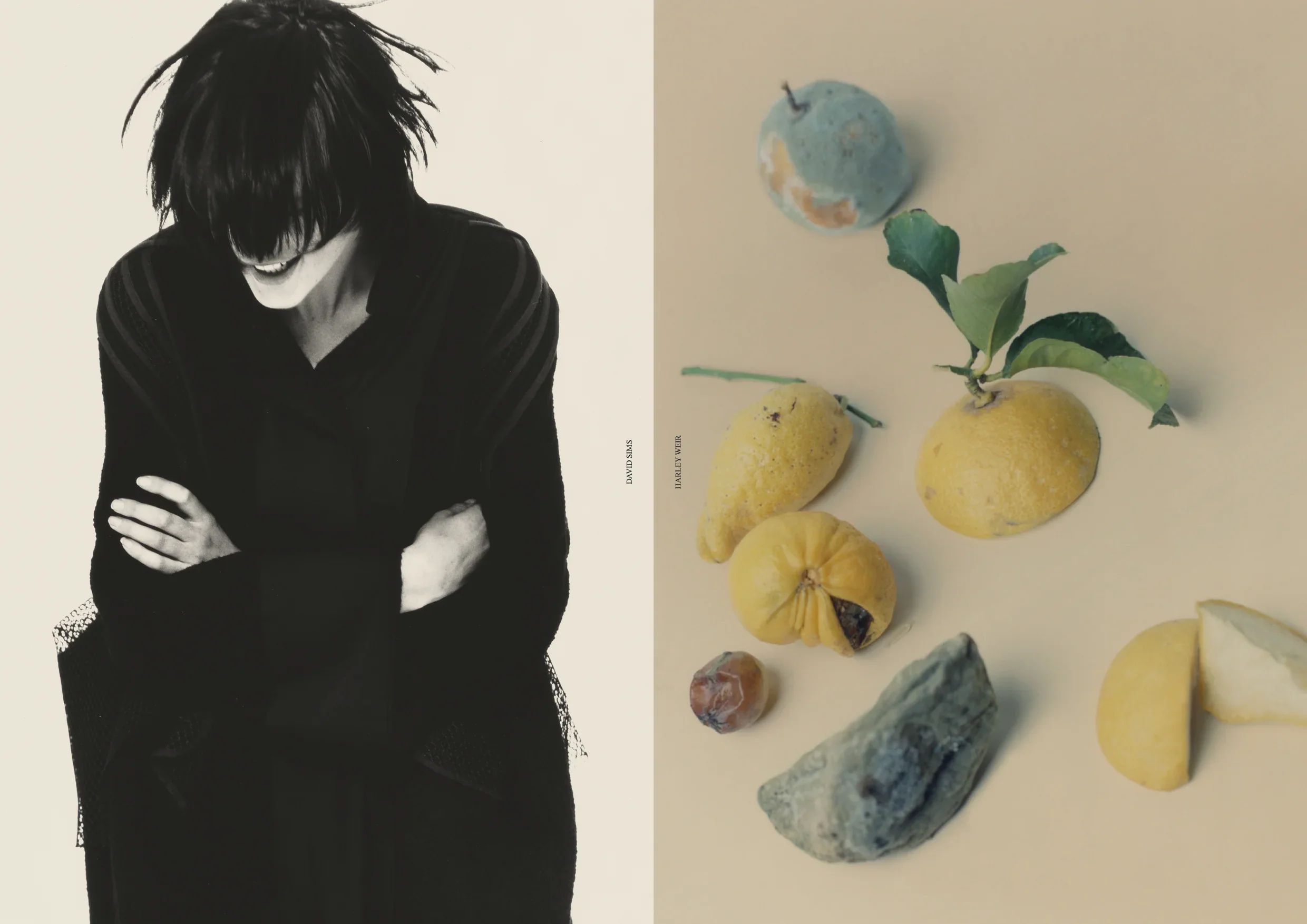 Study - VOLUME 05 - 11.23 - On Camille Bidault-Waddington - Image 6