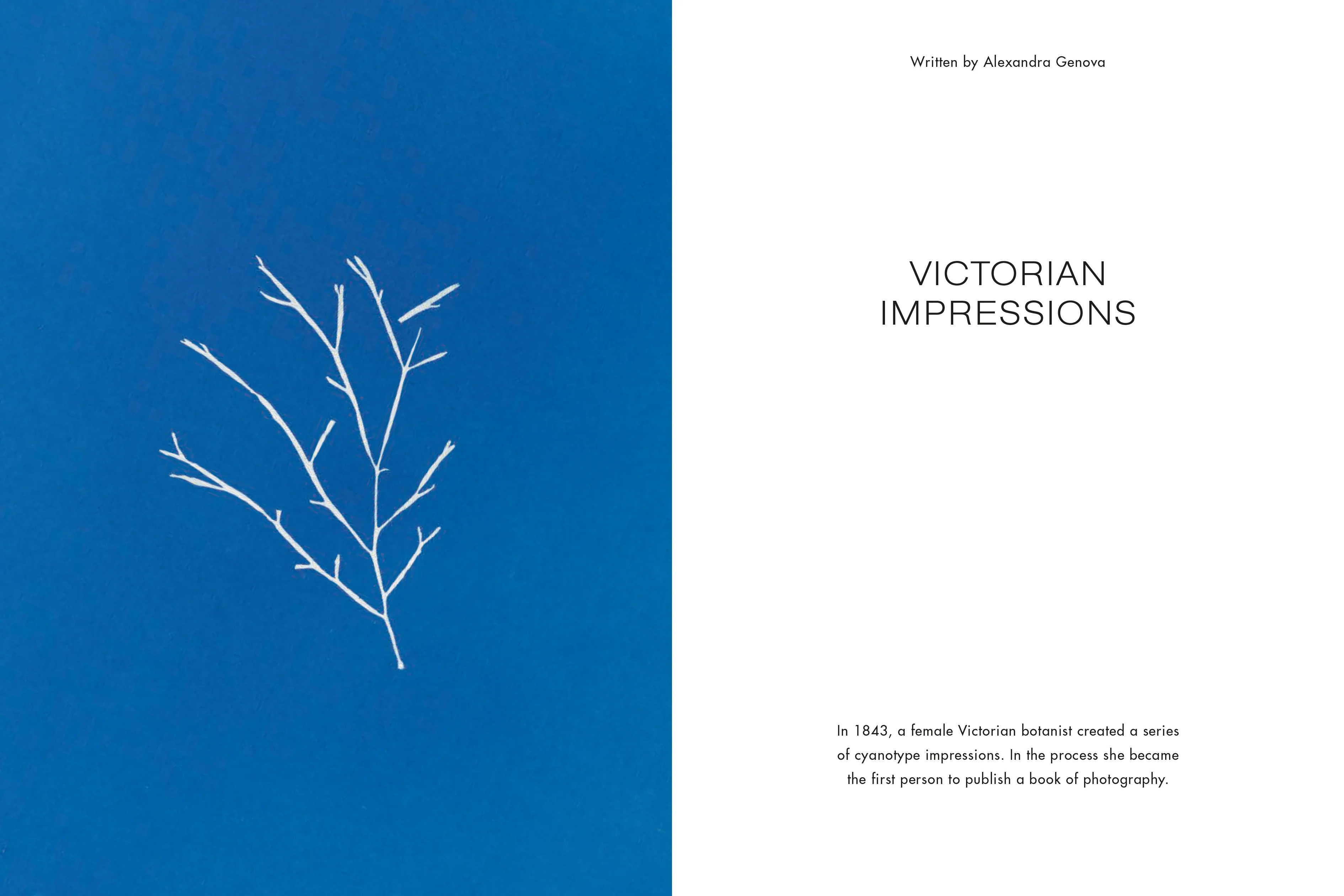 The Colour Journal – The Blue Issue - Image 5