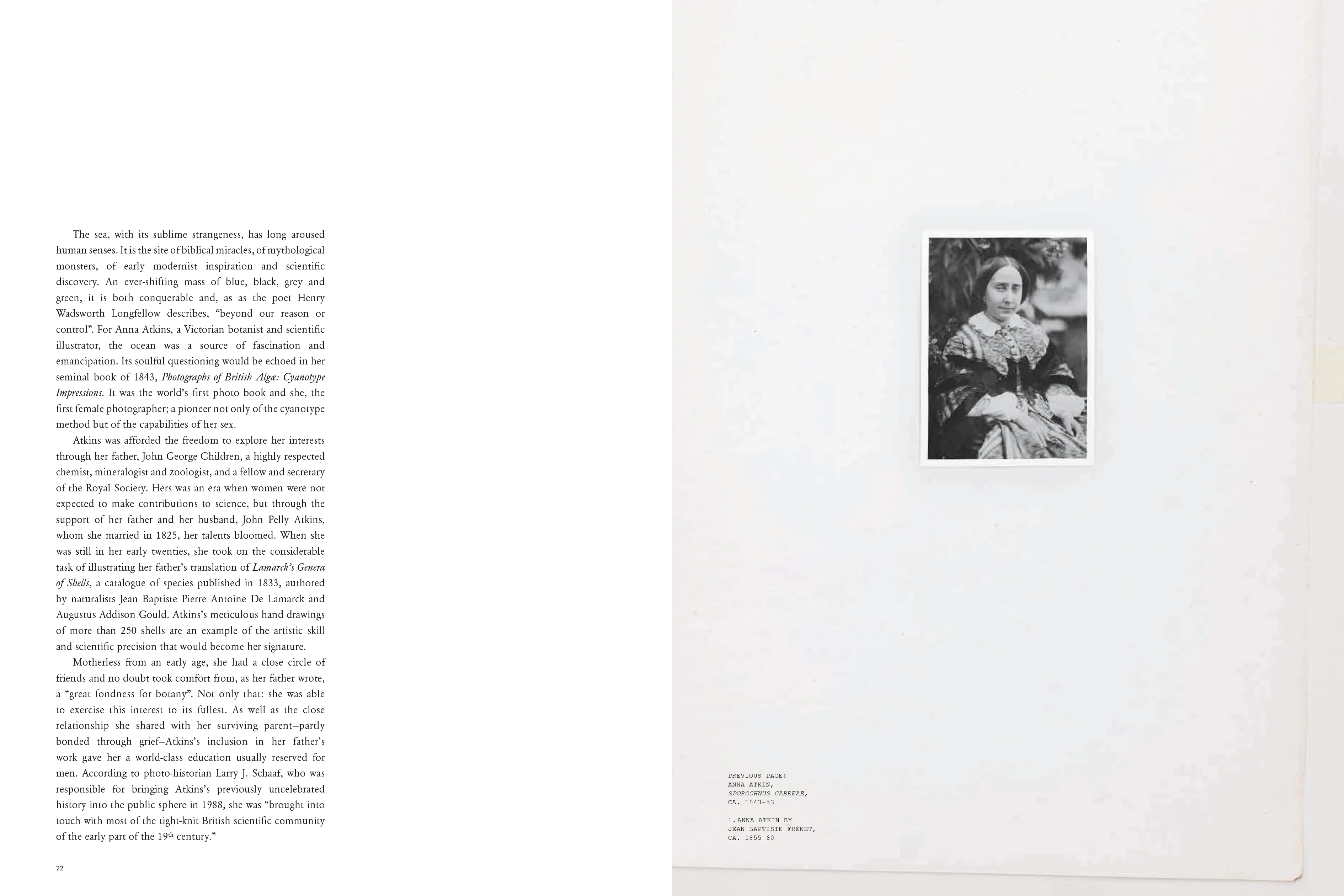 The Colour Journal – The Blue Issue - Image 6
