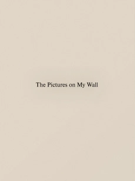 David M. Skoudy (Paris Image Unlimited) - The Pictures on My Wall