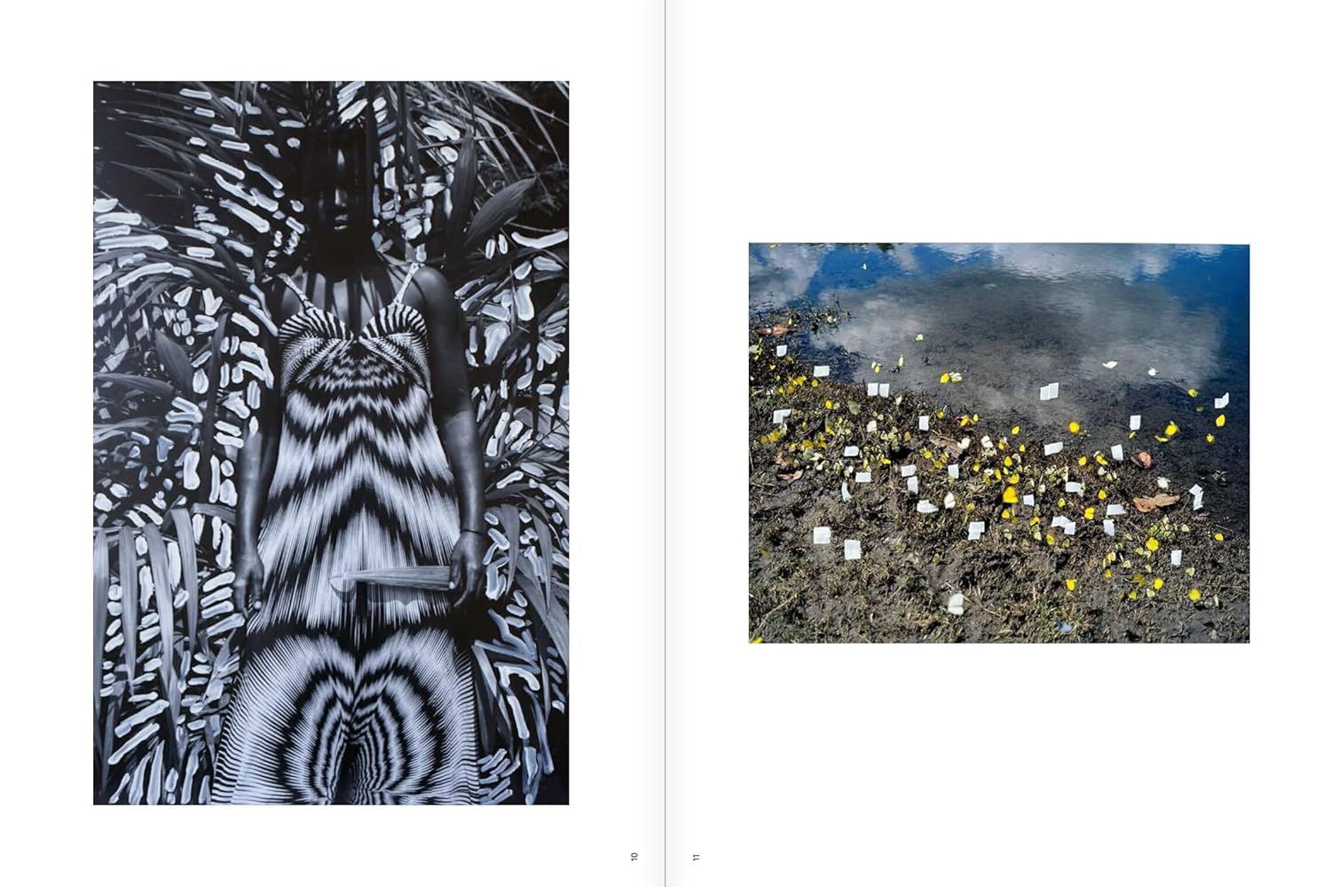 Viviane Sassen - Phosphor - Image 5