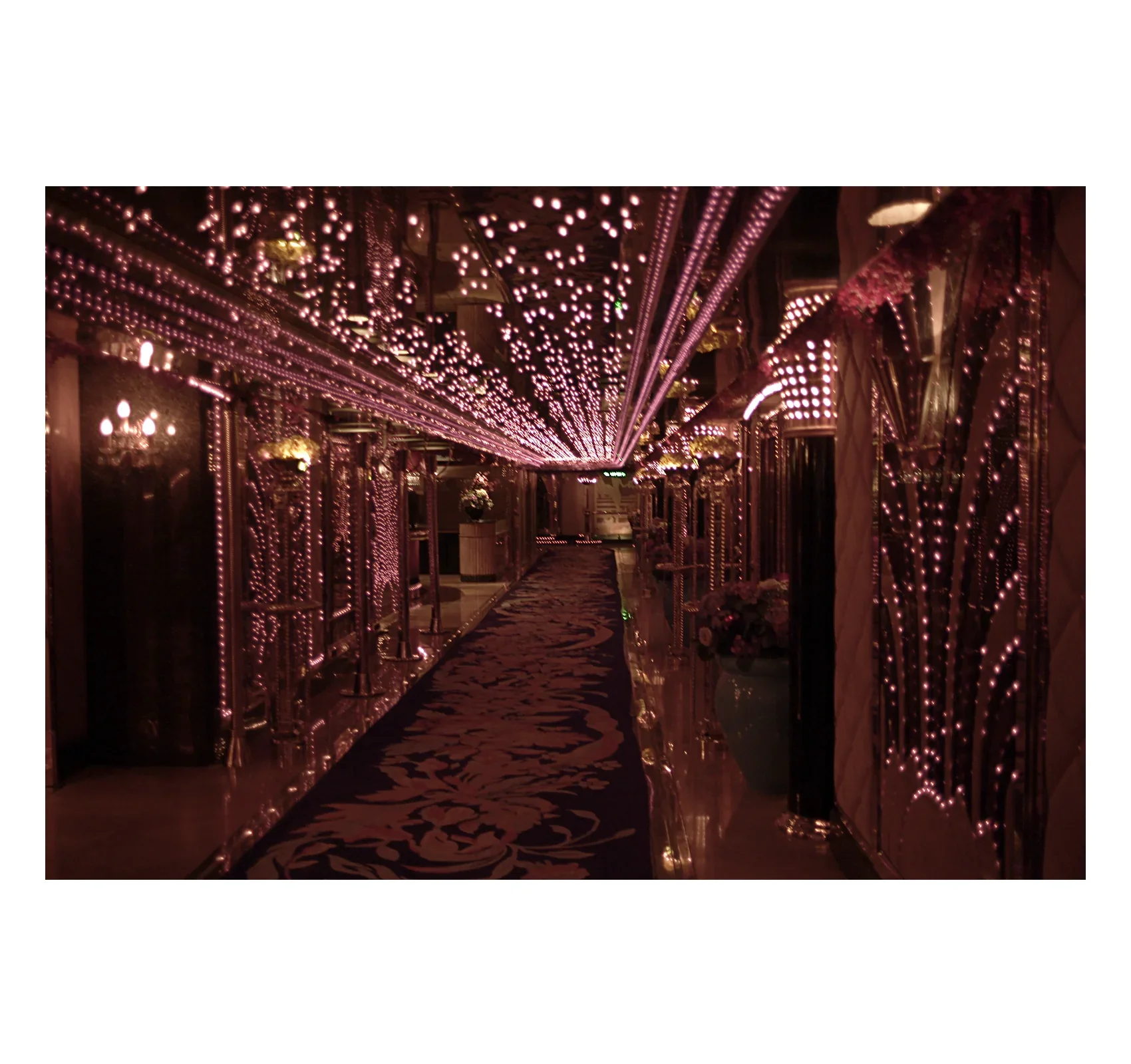 Wing Shya - Solace - Image 5